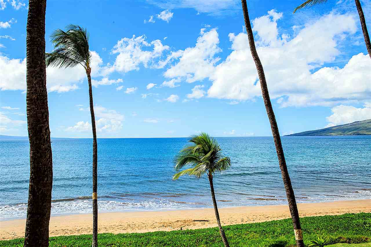 Sugar Beach Resort condo # 321, Kihei, Hawaii - photo 2 of 26