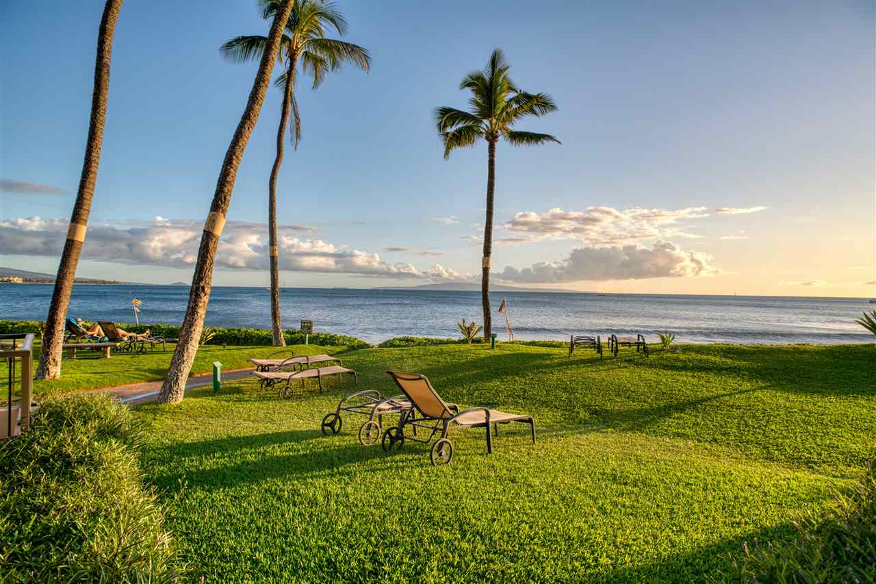 Sugar Beach Resort condo # 406, Kihei, Hawaii - photo 28 of 29