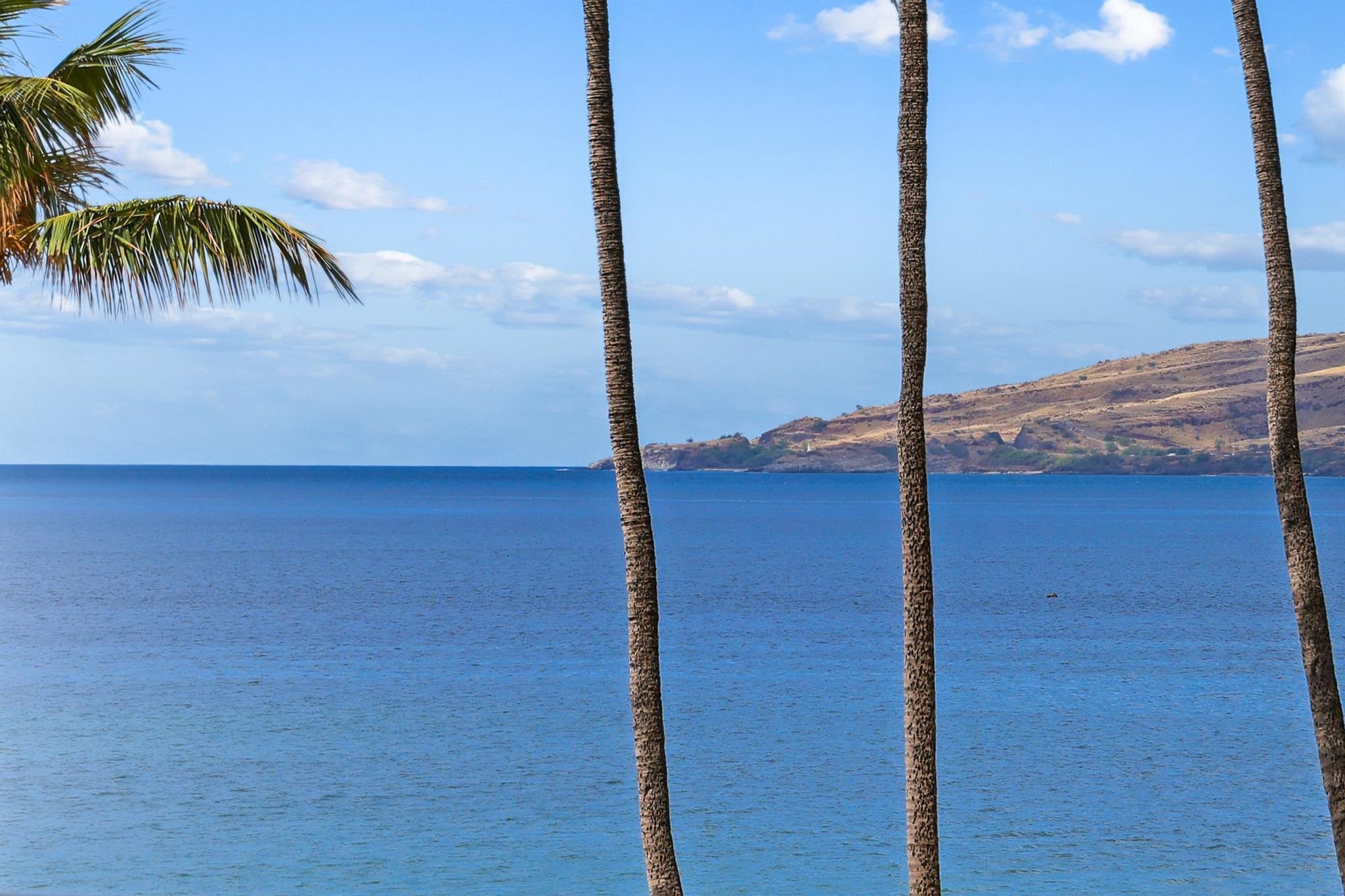 Sugar Beach Resort condo # 406, Kihei, Hawaii - photo 3 of 43