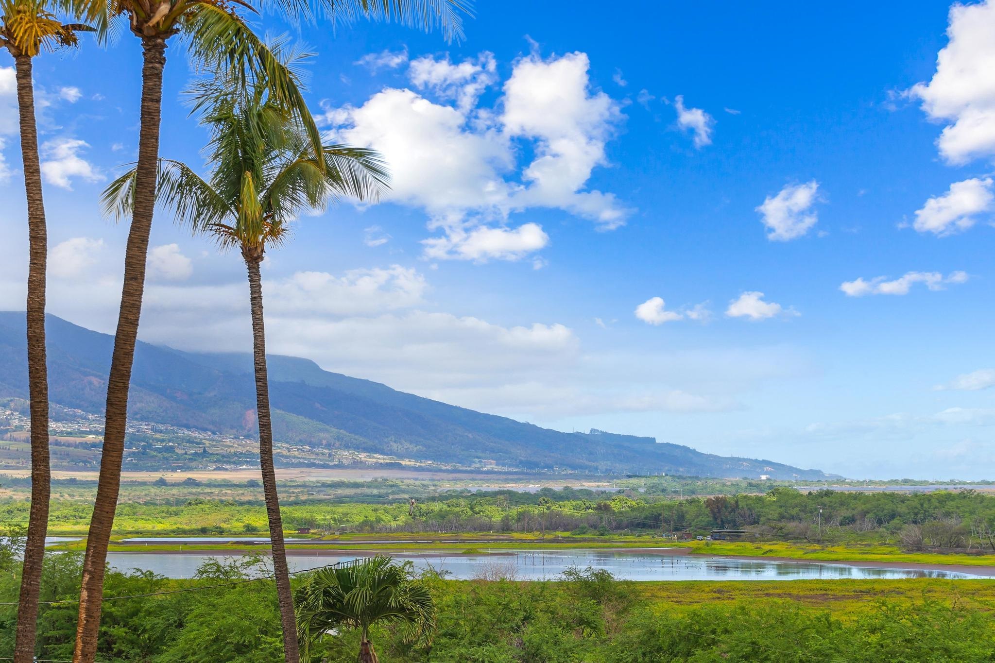 Sugar Beach Resort condo # 406, Kihei, Hawaii - photo 24 of 43