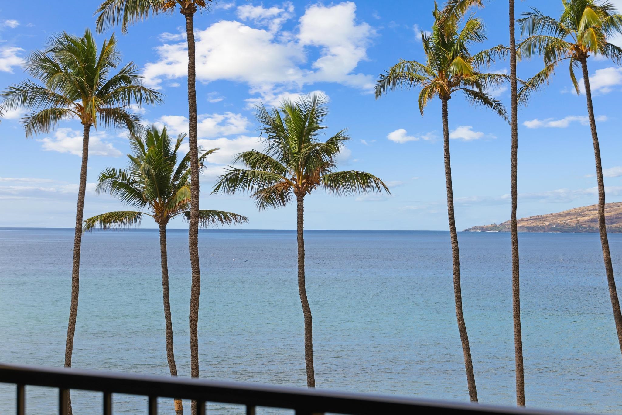 Sugar Beach Resort condo # 406, Kihei, Hawaii - photo 4 of 43