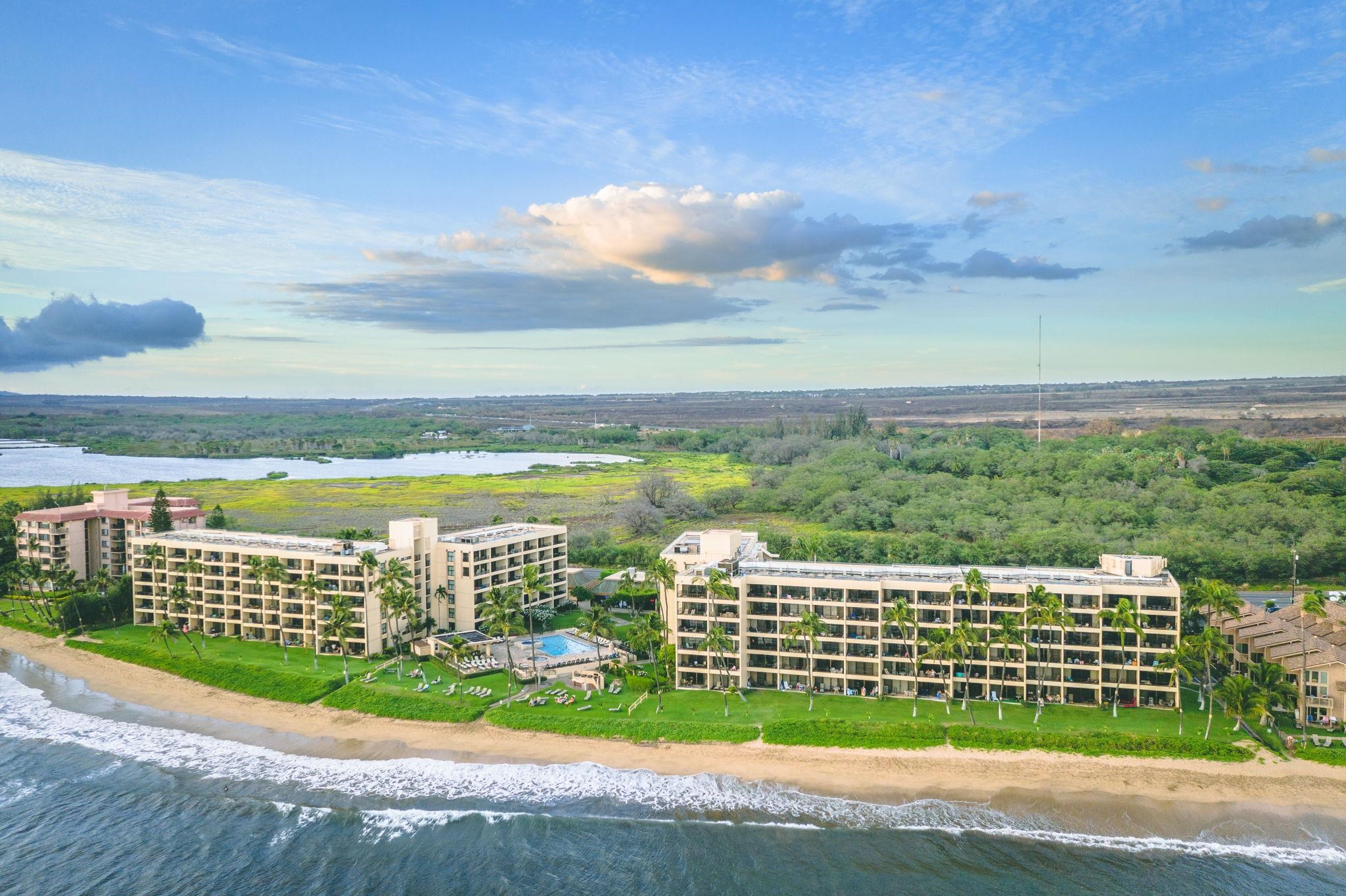 Sugar Beach Resort condo # 408, Kihei, Hawaii - photo 24 of 34