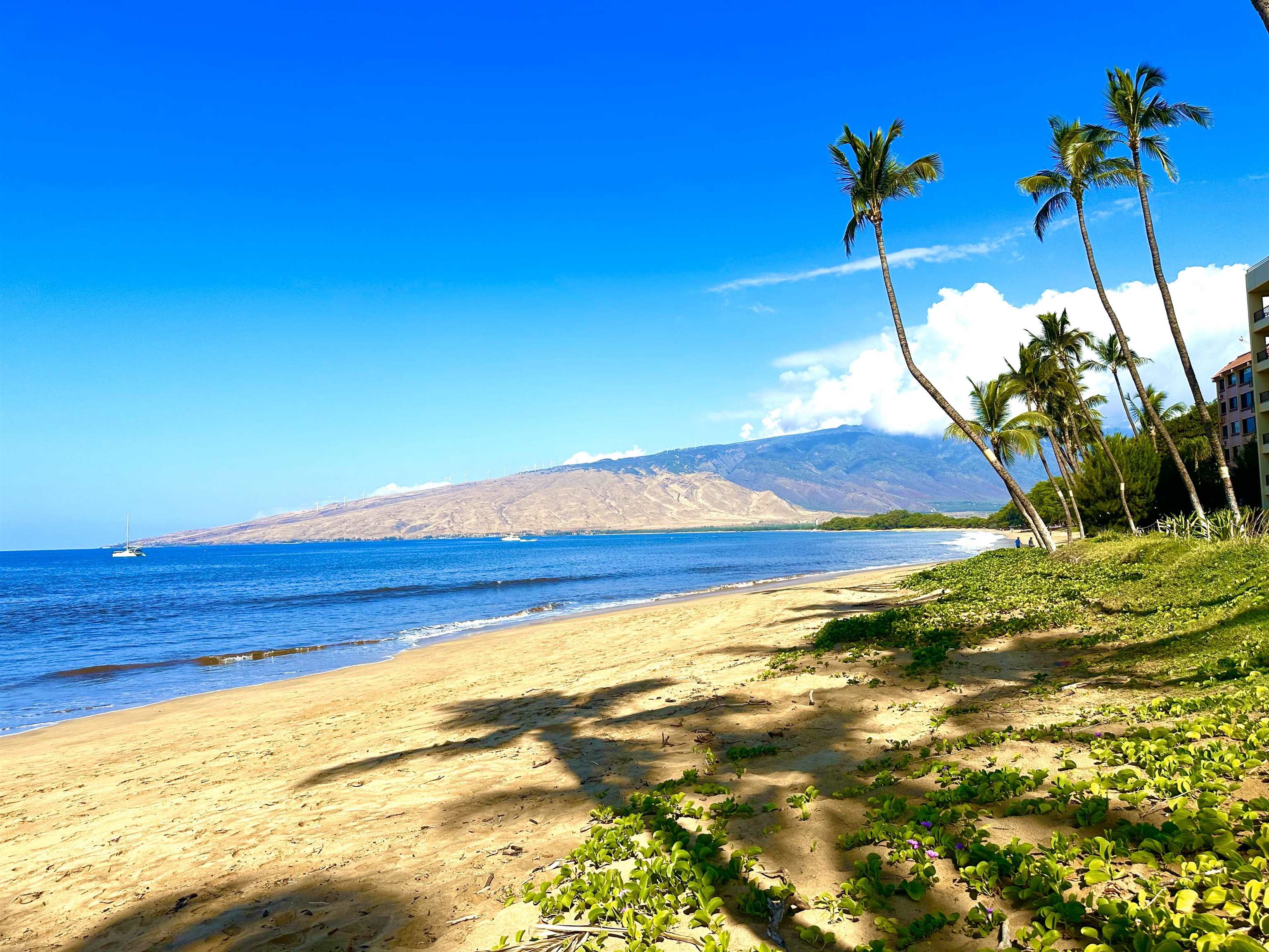 Sugar Beach Resort condo # 408, Kihei, Hawaii - photo 28 of 34