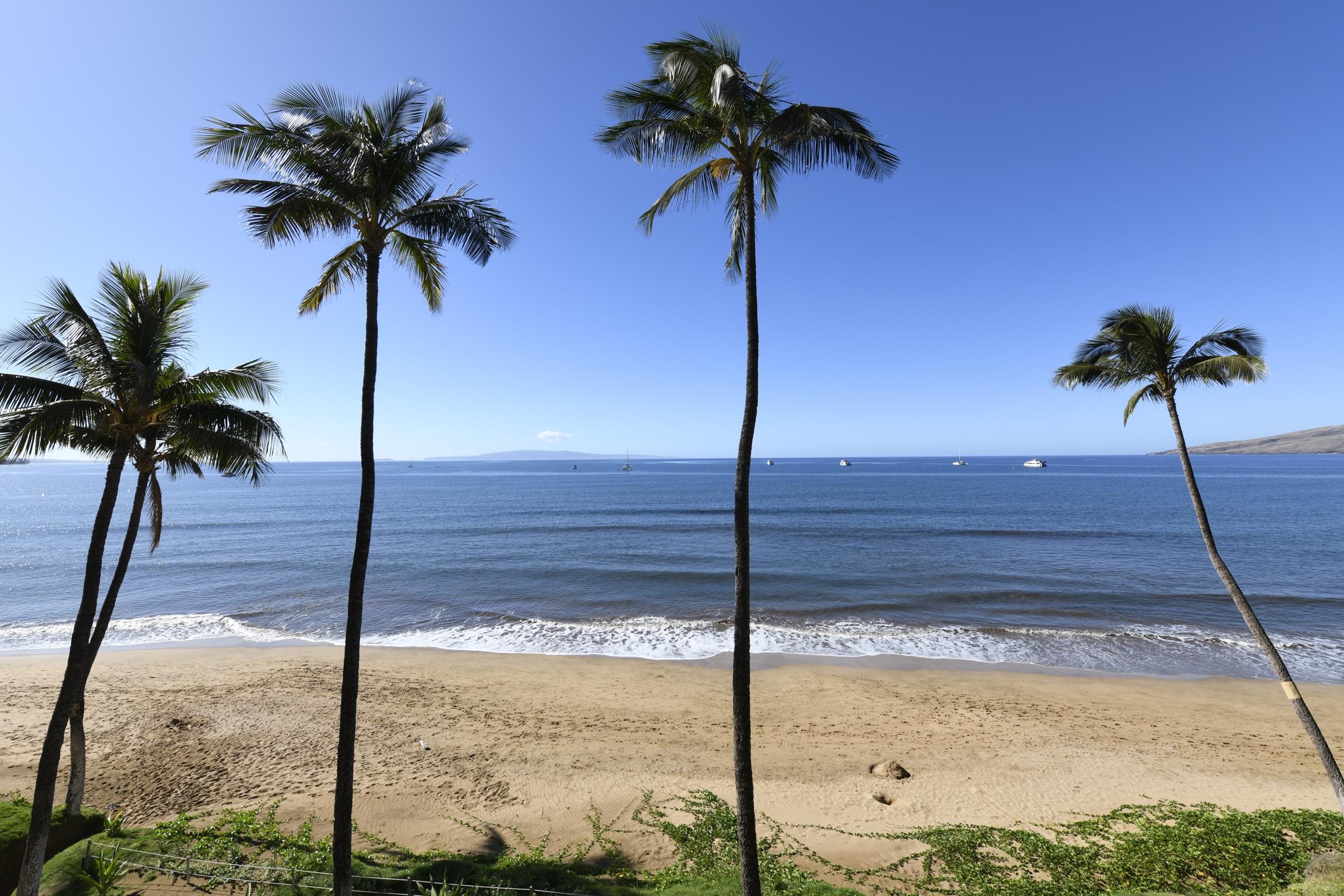 Sugar Beach Resort condo # 415, Kihei, Hawaii - photo 2 of 30