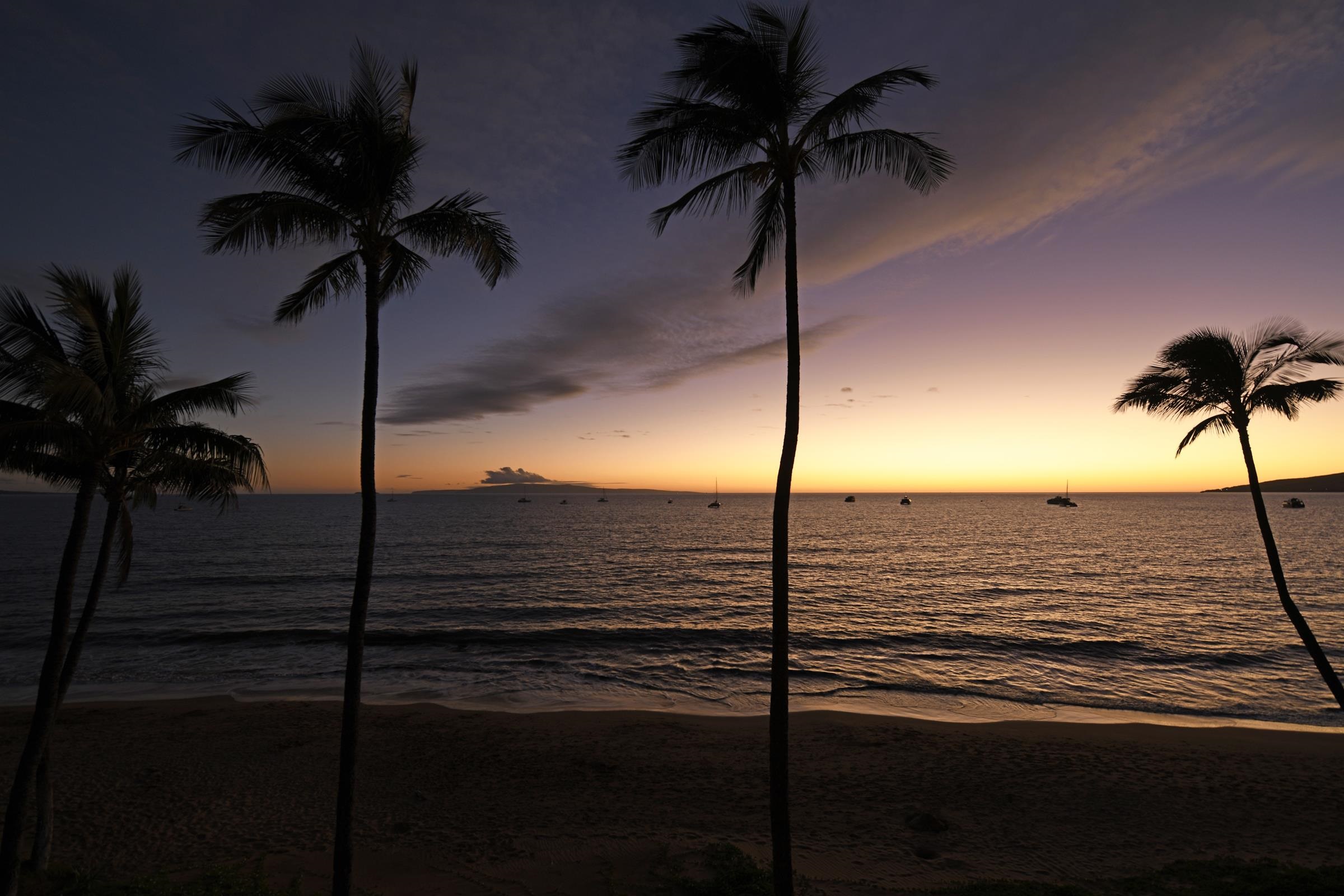 Sugar Beach Resort condo # 415, Kihei, Hawaii - photo 3 of 30