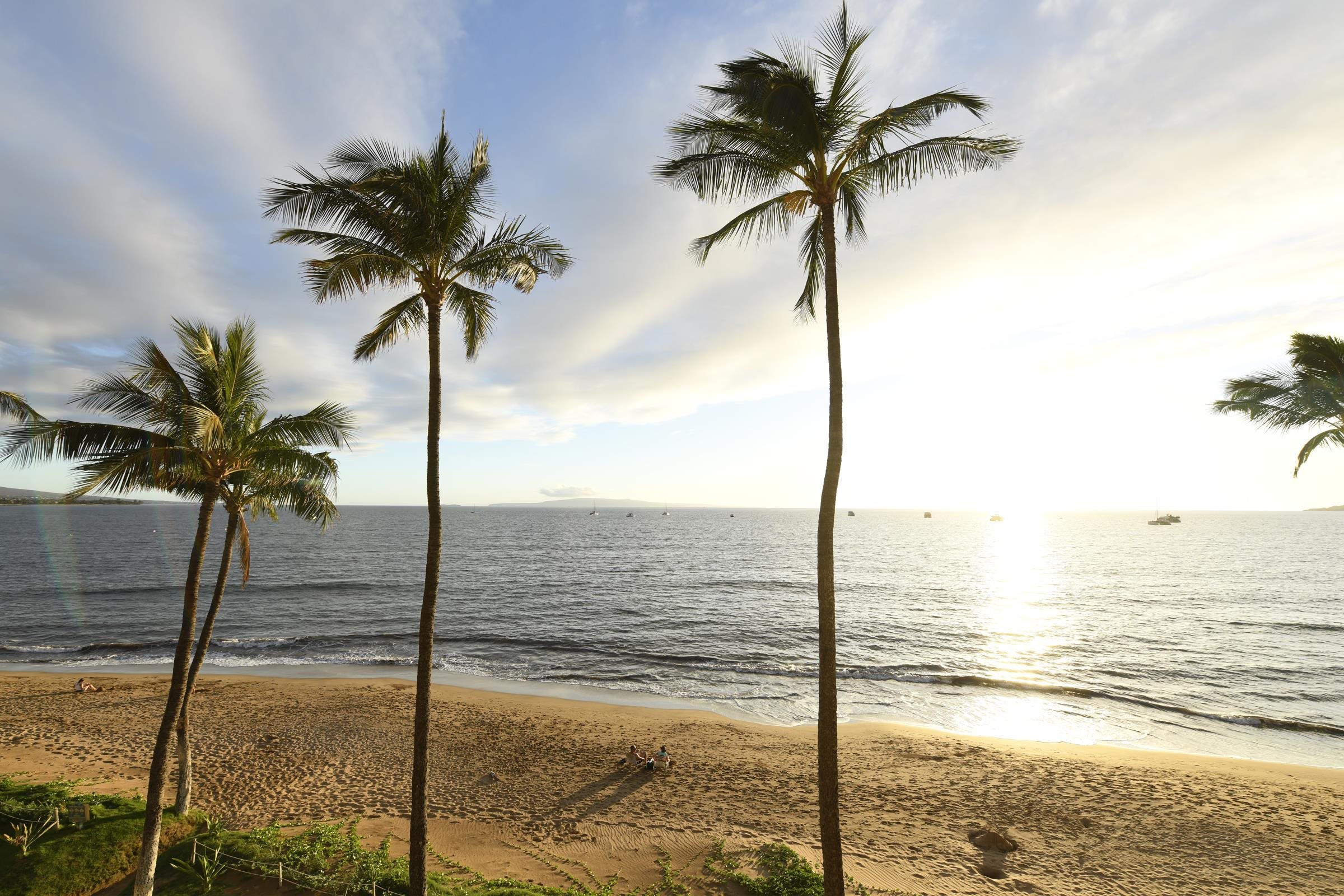 Sugar Beach Resort condo # 415, Kihei, Hawaii - photo 24 of 30