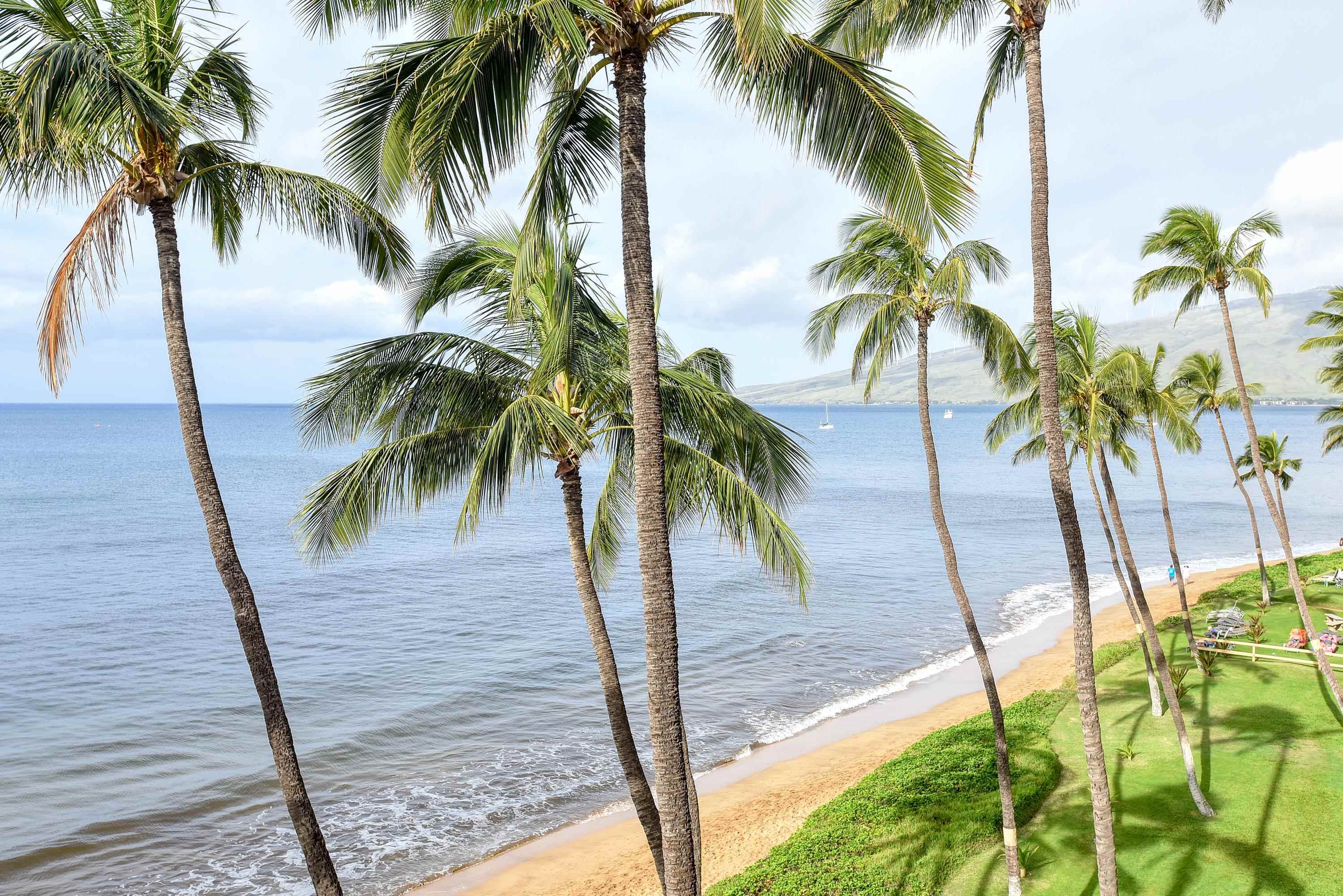 Sugar Beach Resort condo # 415, Kihei, Hawaii - photo 26 of 30