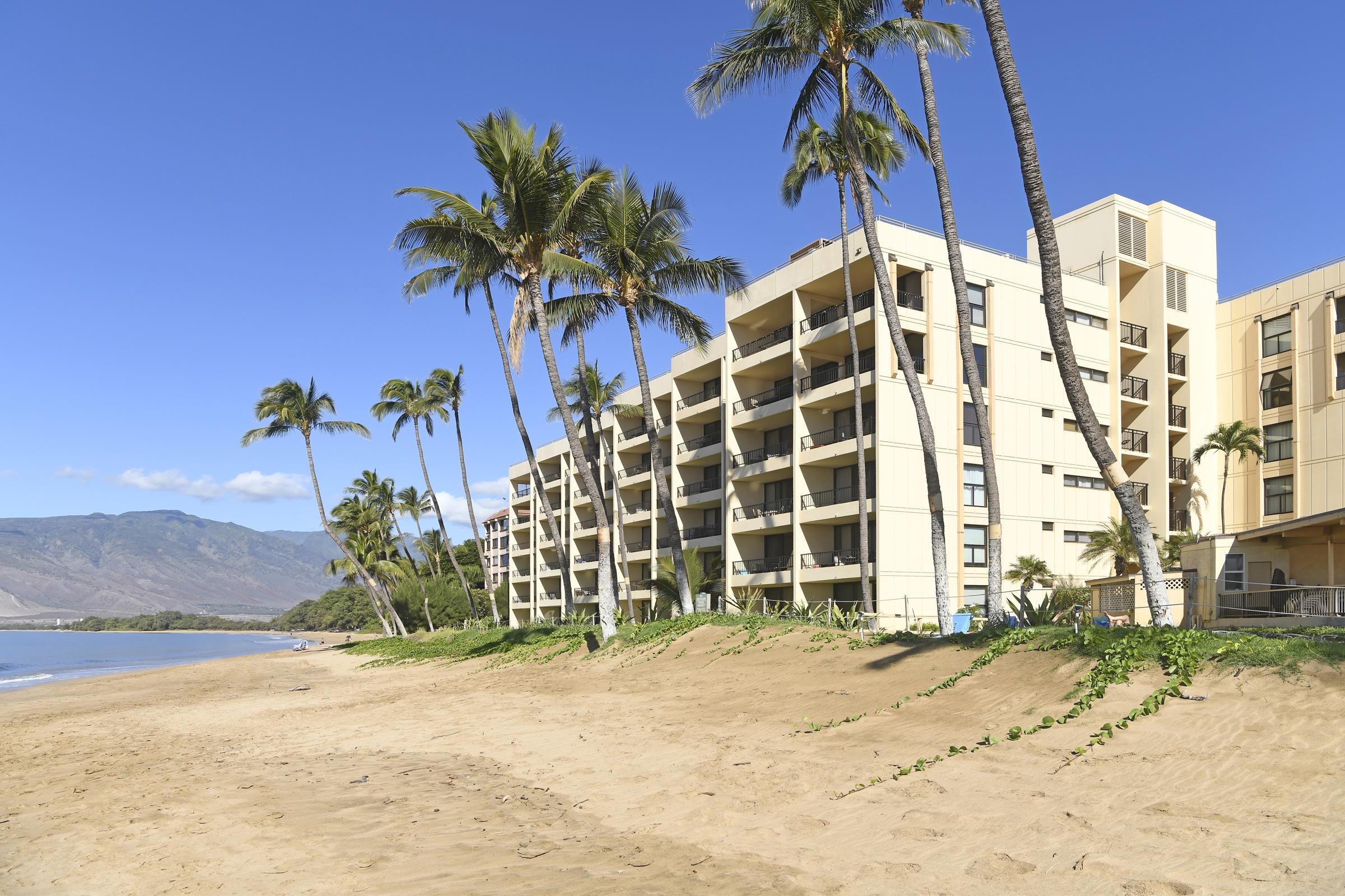 Sugar Beach Resort condo # 415, Kihei, Hawaii - photo 8 of 30