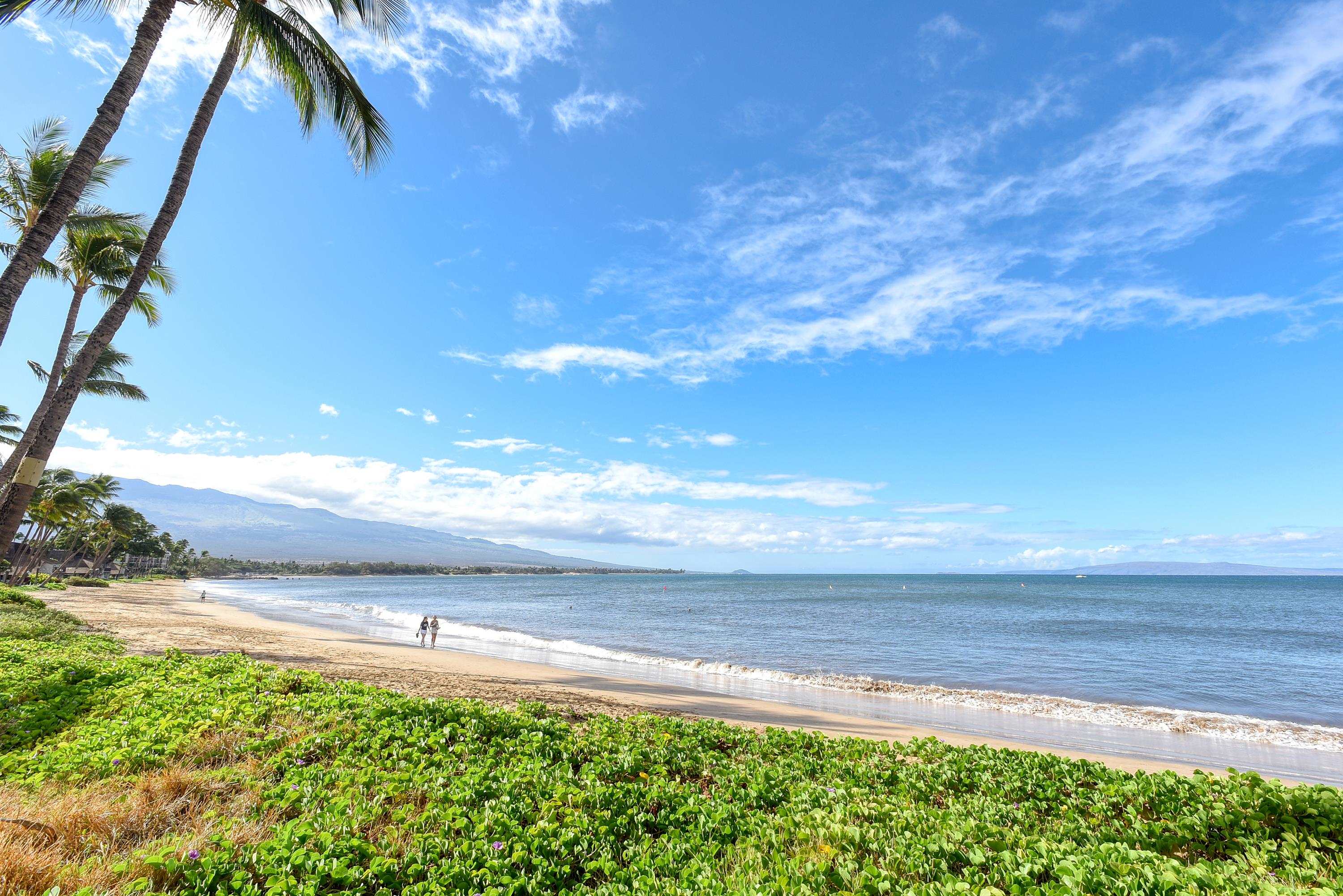 Sugar Beach Resort condo # 415, Kihei, Hawaii - photo 9 of 30