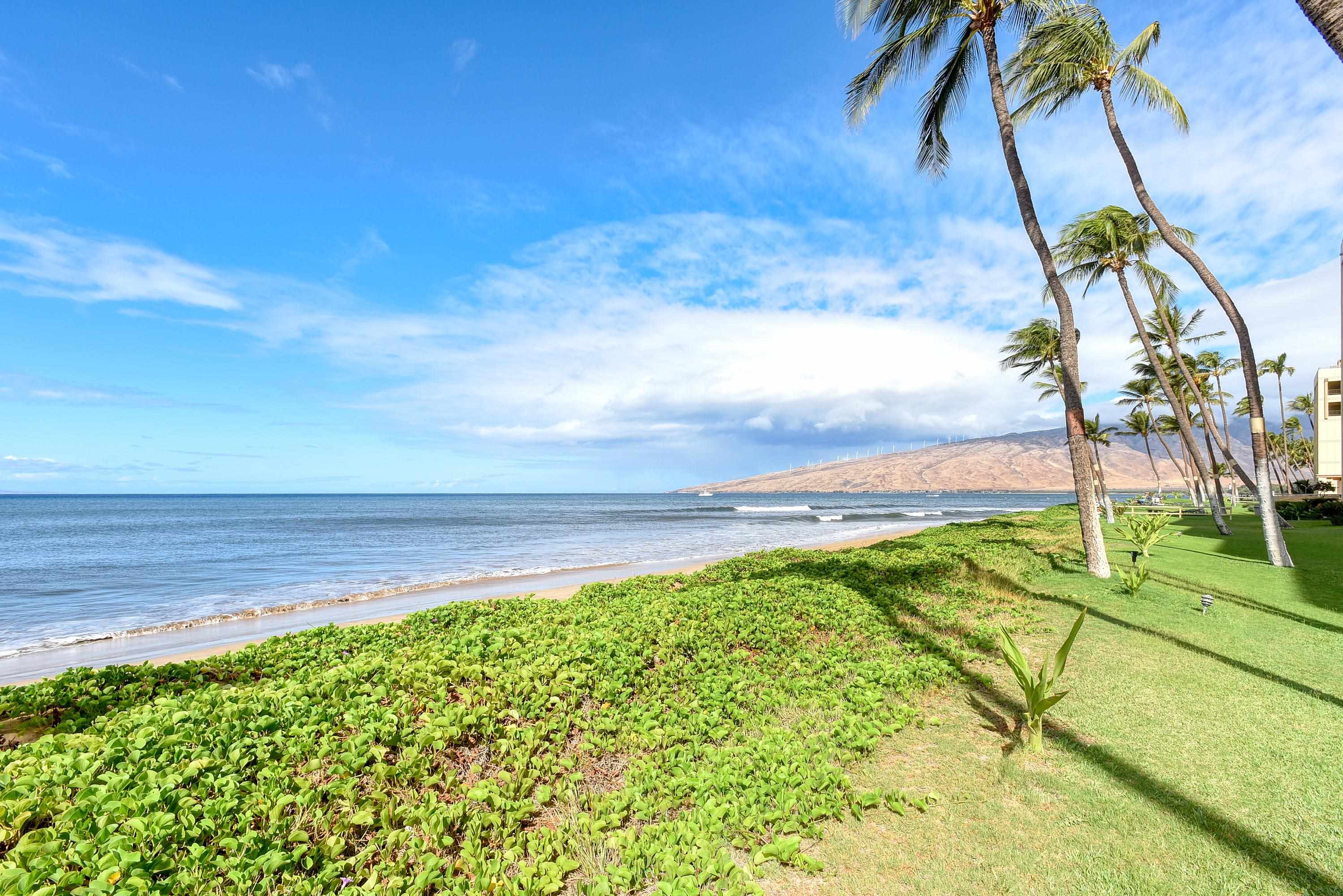 Sugar Beach Resort condo # 415, Kihei, Hawaii - photo 10 of 30