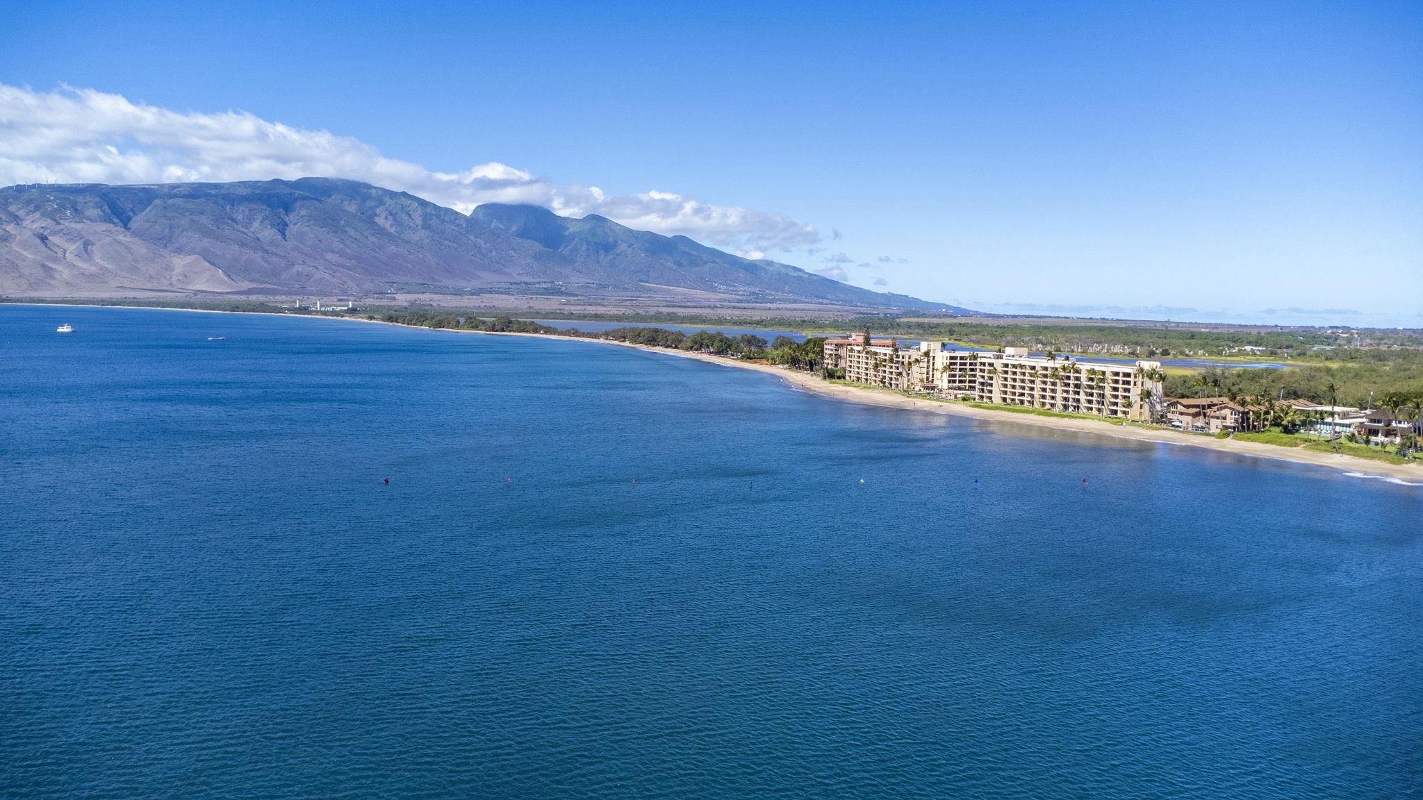 Sugar Beach Resort condo # 417, Kihei, Hawaii - photo 40 of 45