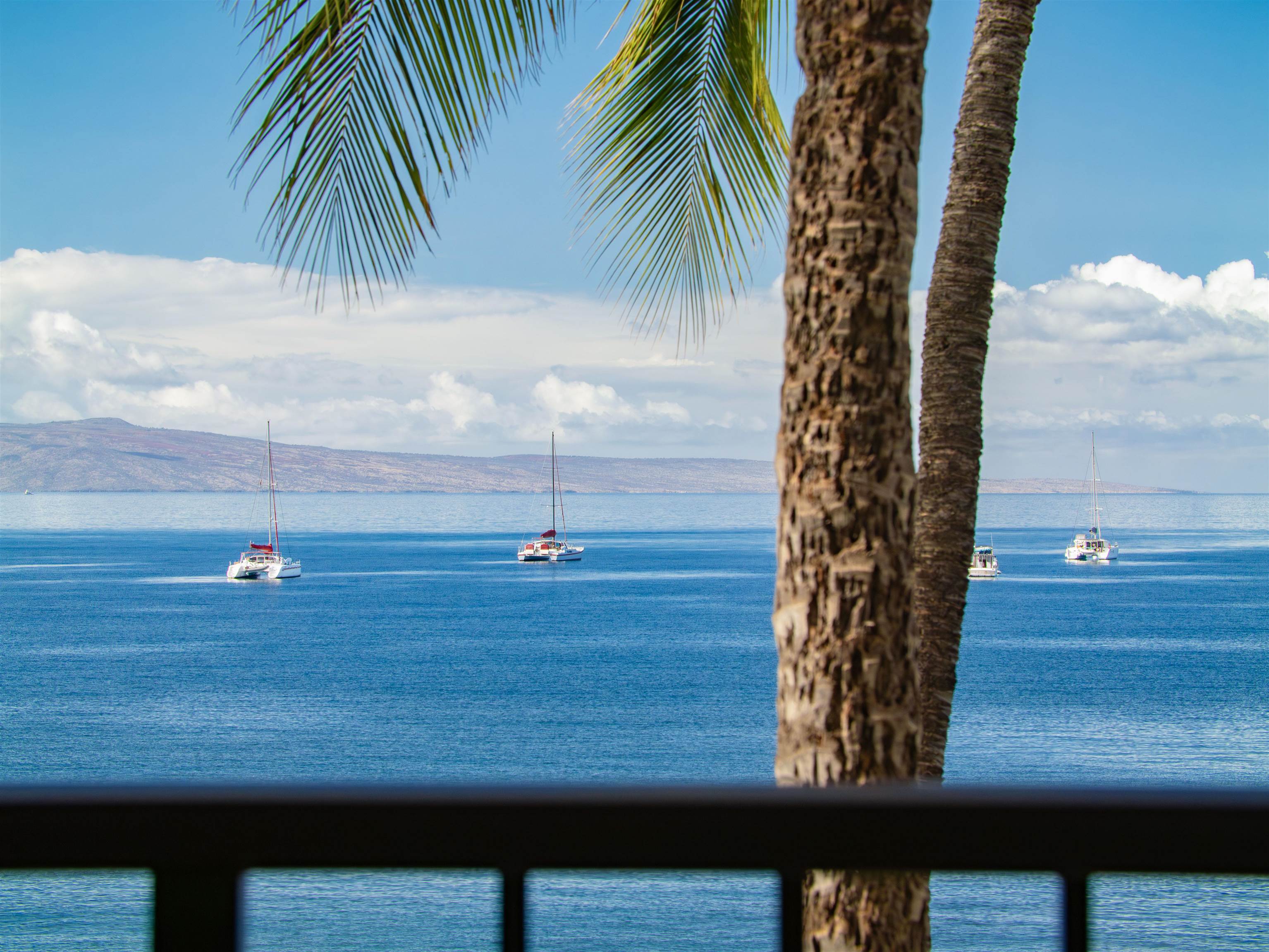Sugar Beach Resort condo # 430, Kihei, Hawaii - photo 3 of 43