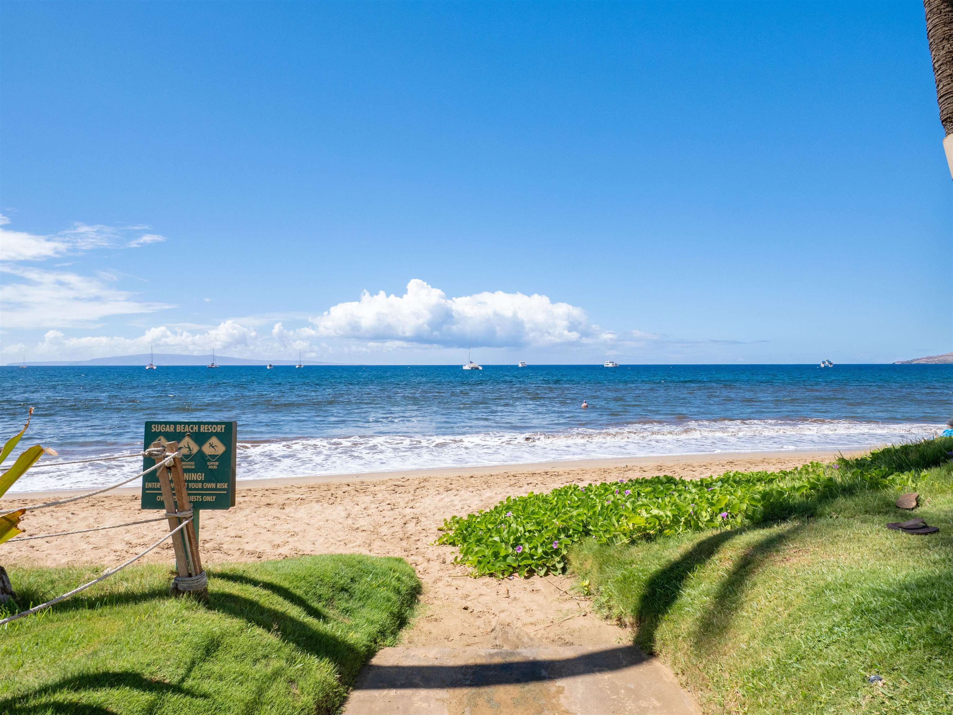 Sugar Beach Resort condo # 430, Kihei, Hawaii - photo 29 of 43