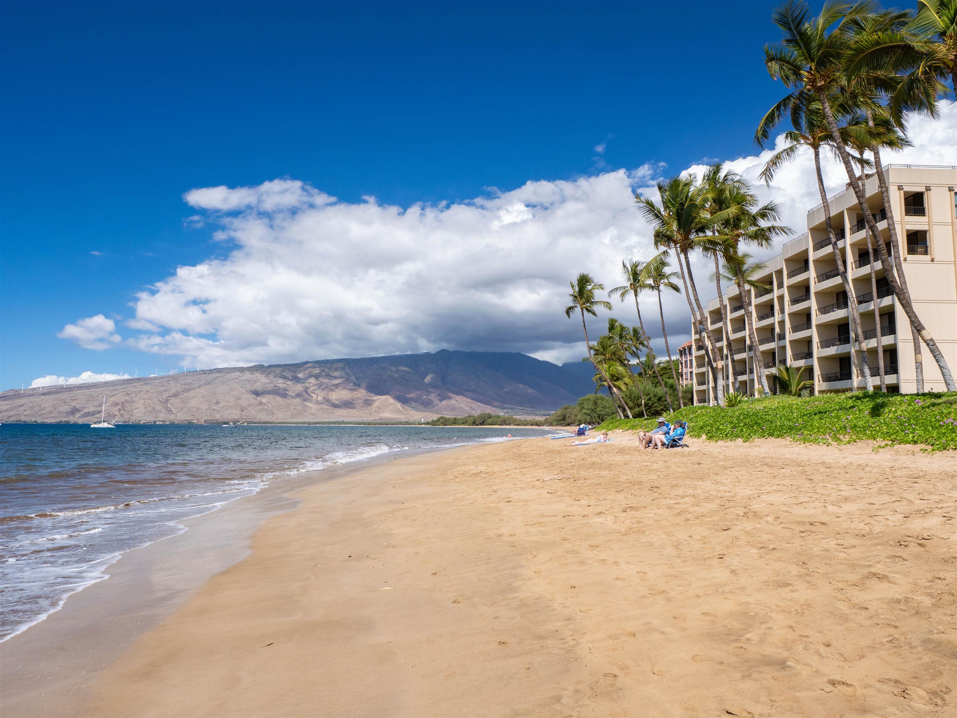 Sugar Beach Resort condo # 430, Kihei, Hawaii - photo 31 of 43