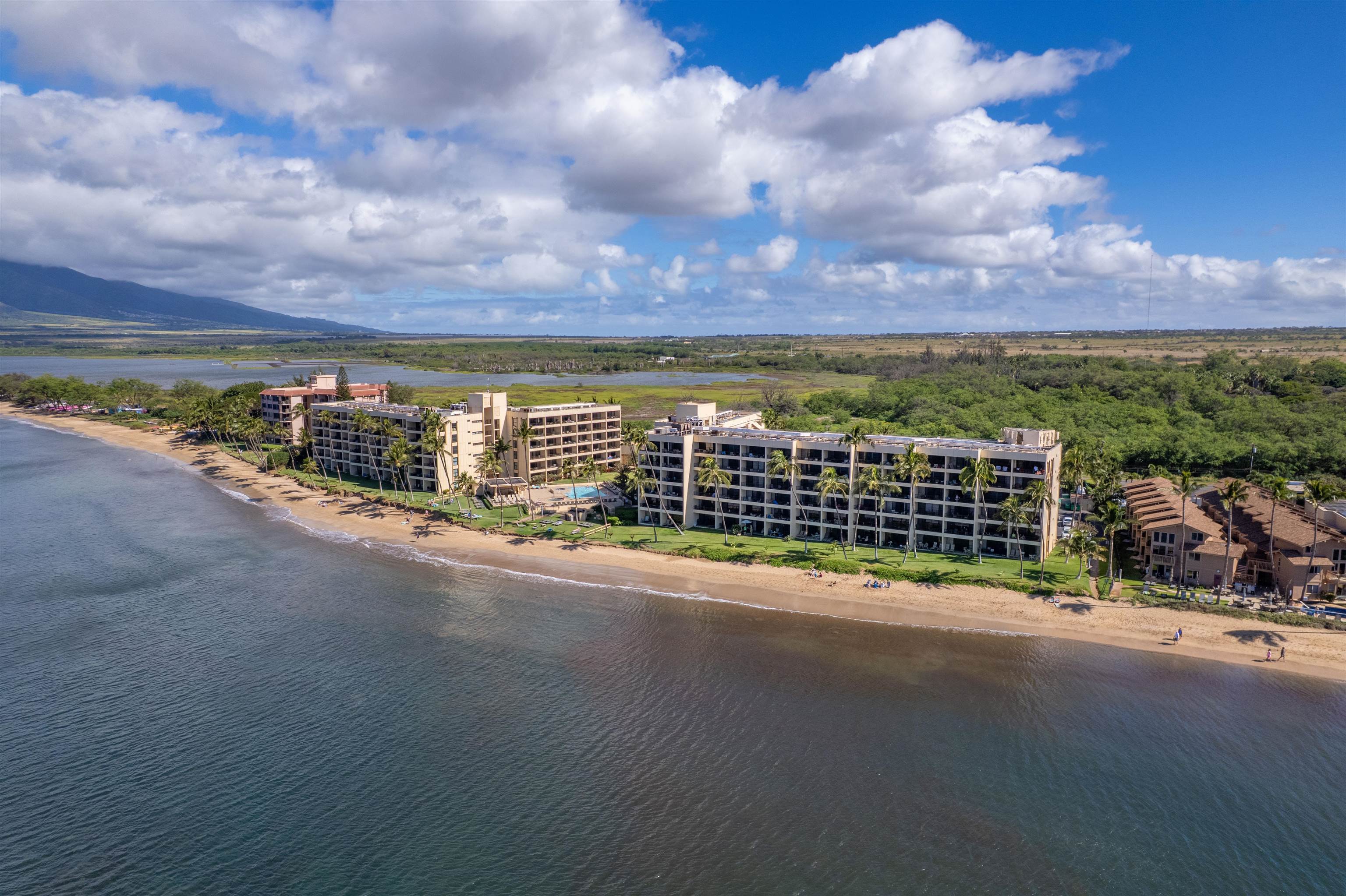 Sugar Beach Resort condo # 430, Kihei, Hawaii - photo 35 of 43