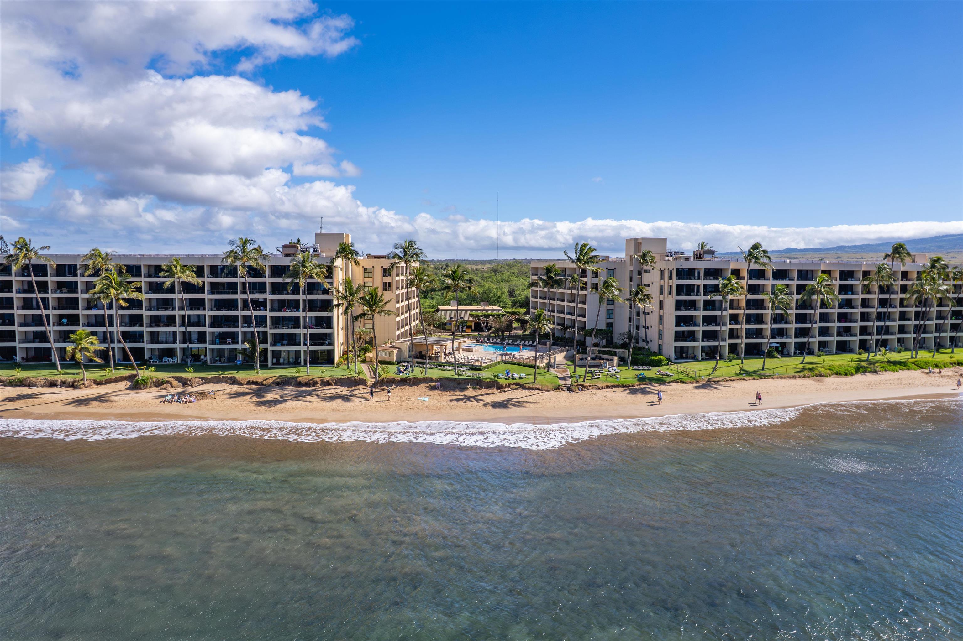 Sugar Beach Resort condo # 430, Kihei, Hawaii - photo 36 of 43