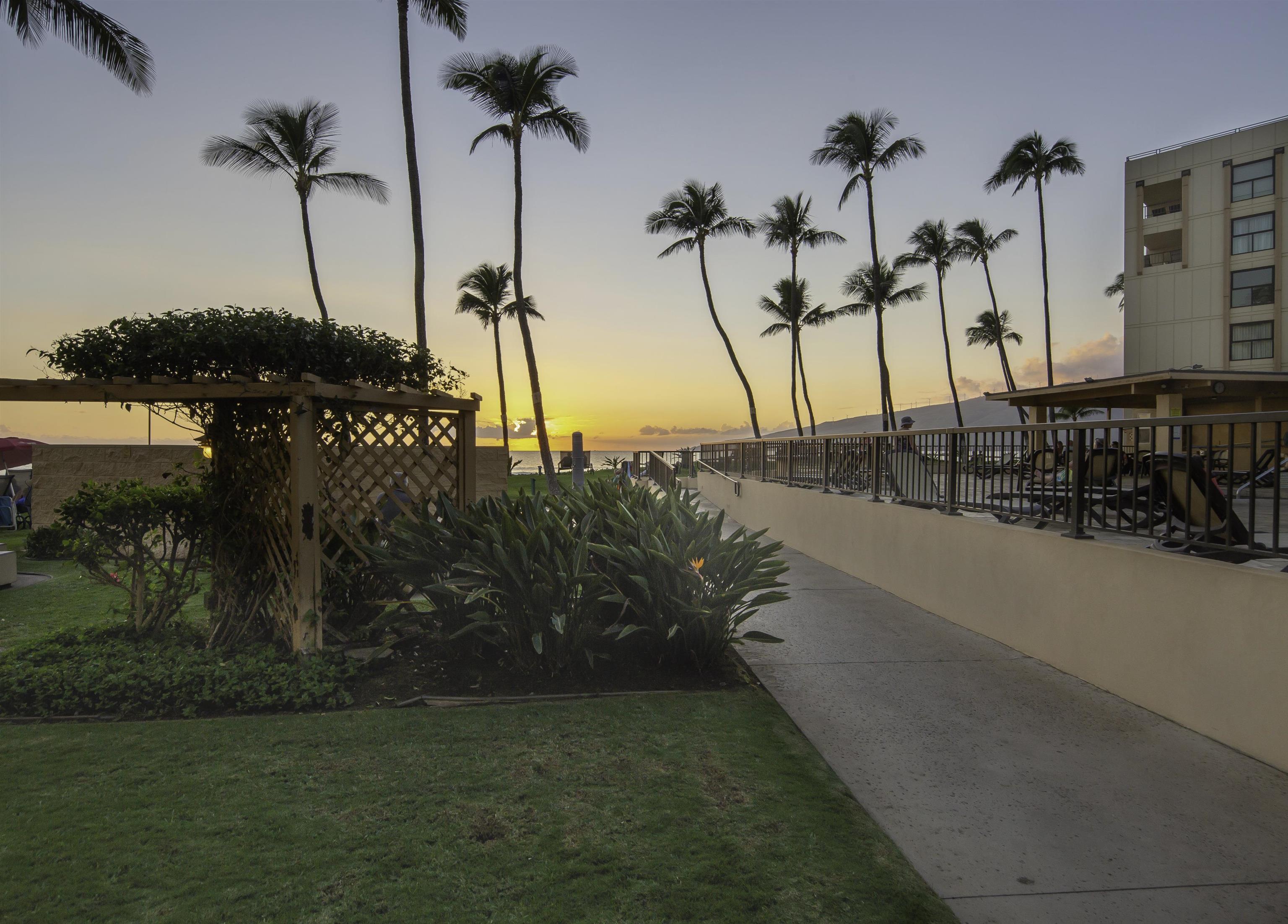 Sugar Beach Resort condo # 440, Kihei, Hawaii - photo 28 of 29