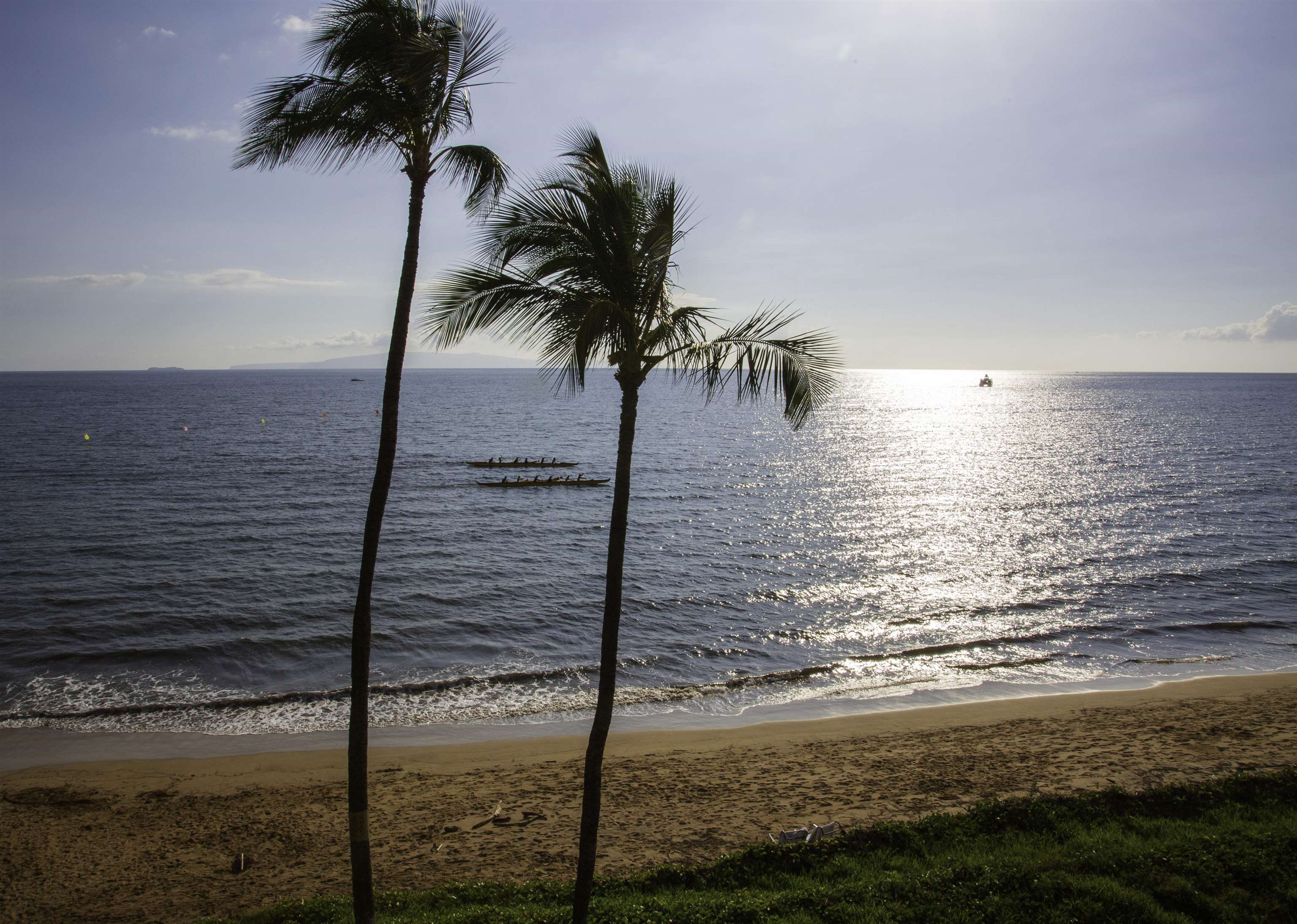 Sugar Beach Resort condo # 440, Kihei, Hawaii - photo 9 of 29
