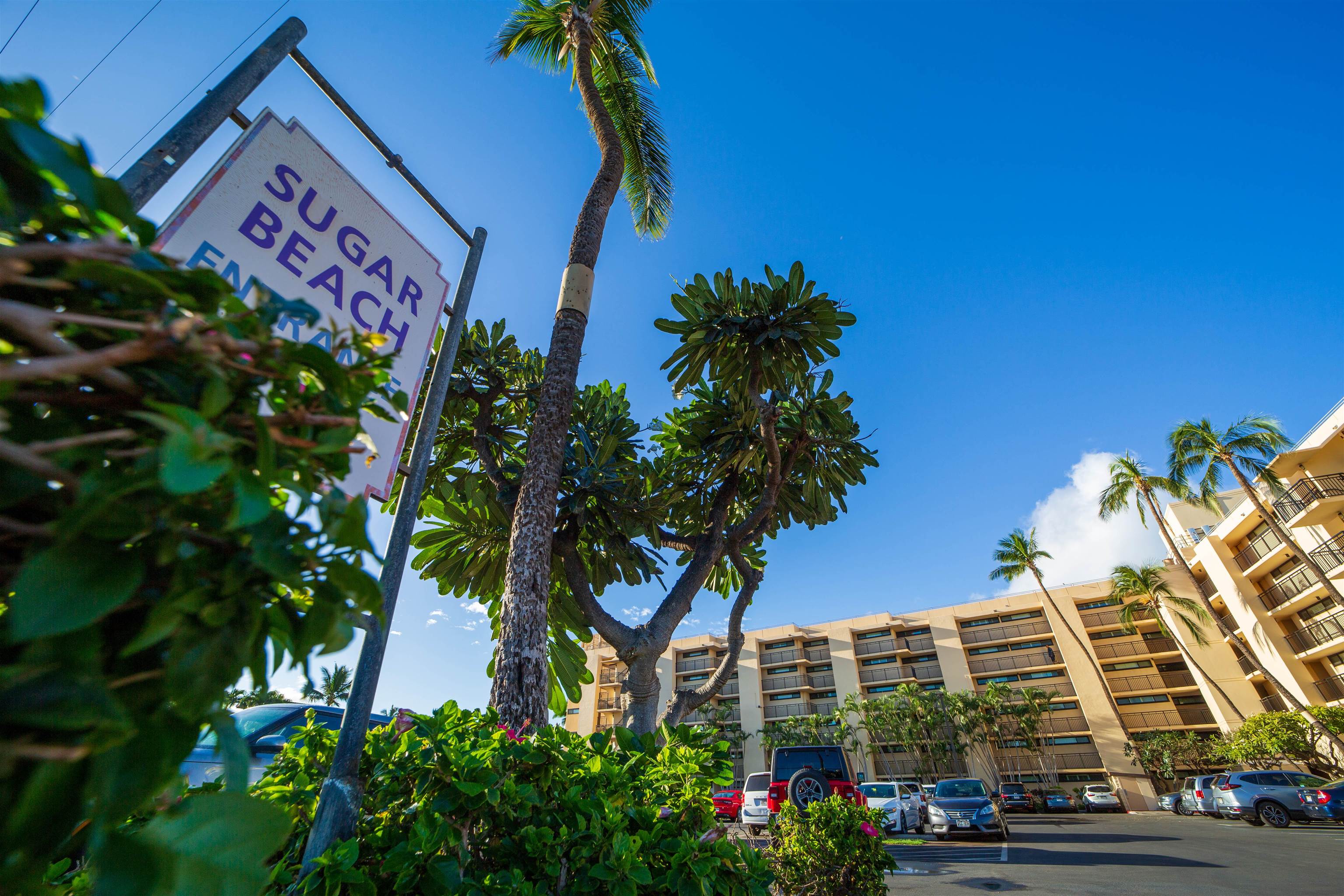 Sugar Beach Resort condo # 502, Kihei, Hawaii - photo 25 of 37