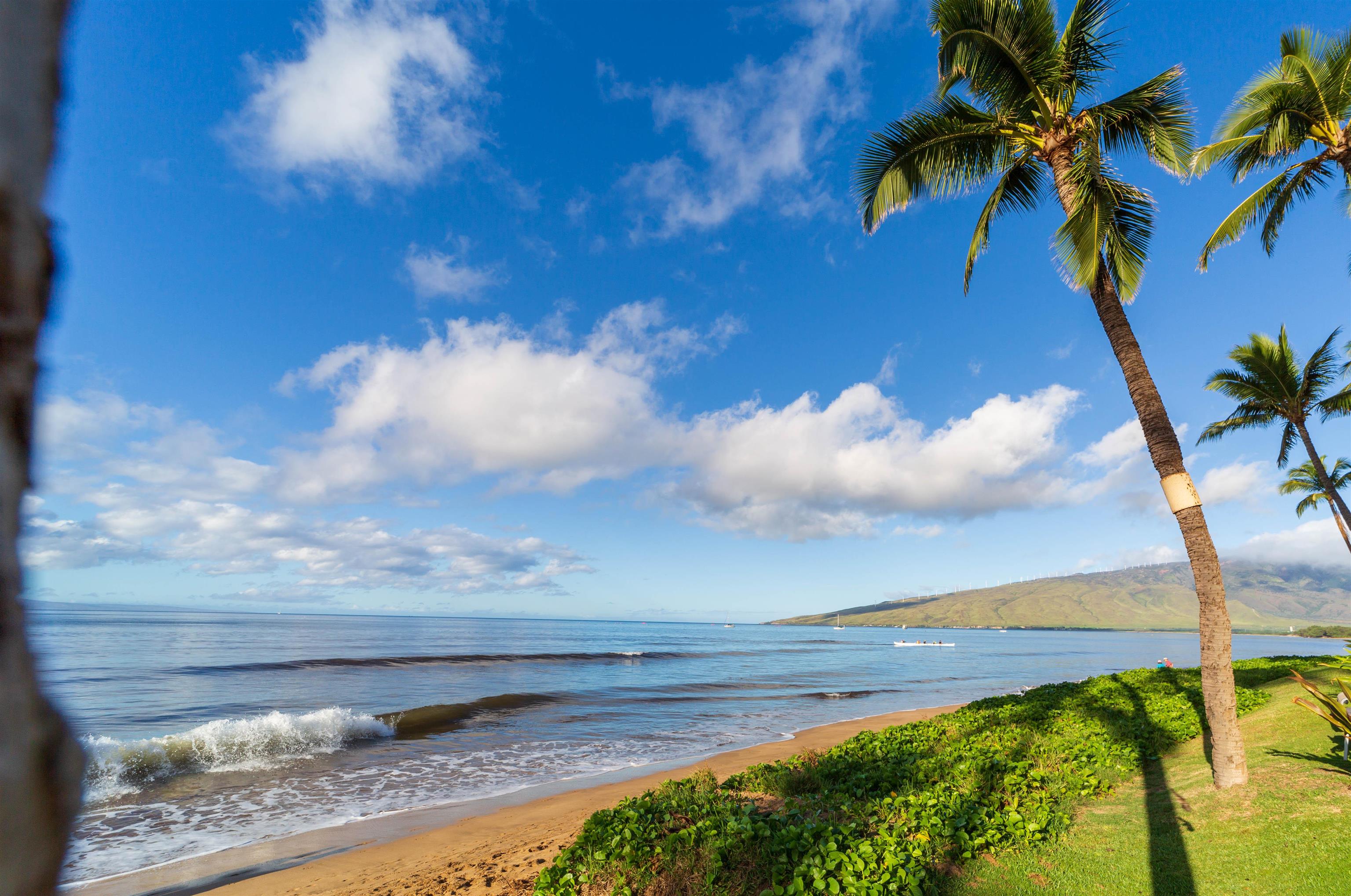 Sugar Beach Resort condo # 502, Kihei, Hawaii - photo 29 of 37