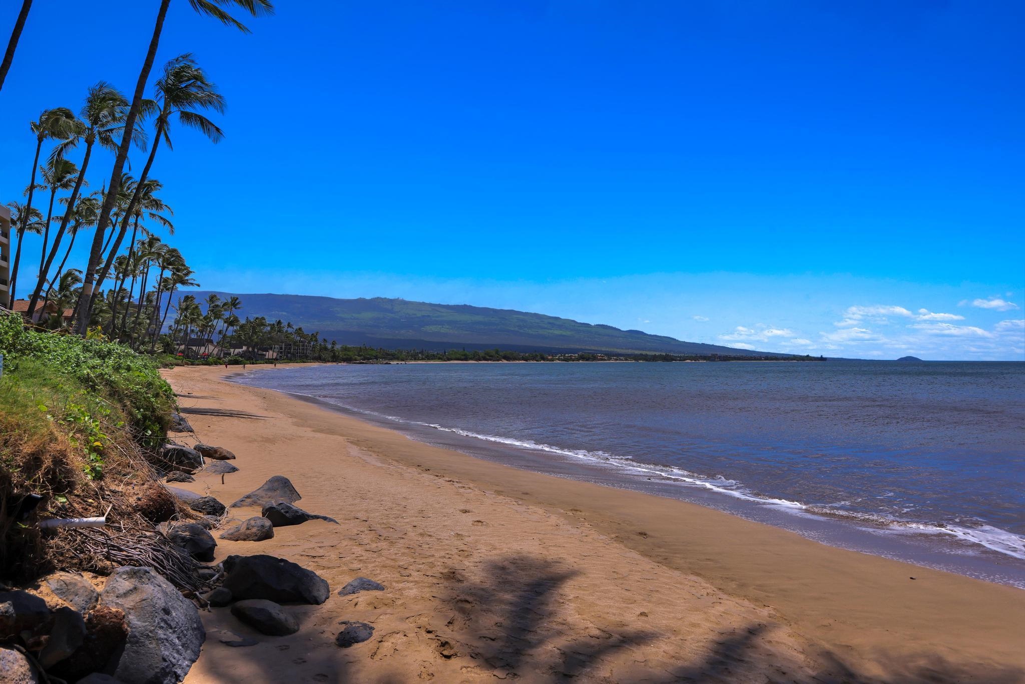 Sugar Beach Resort condo # 502, Kihei, Hawaii - photo 41 of 50