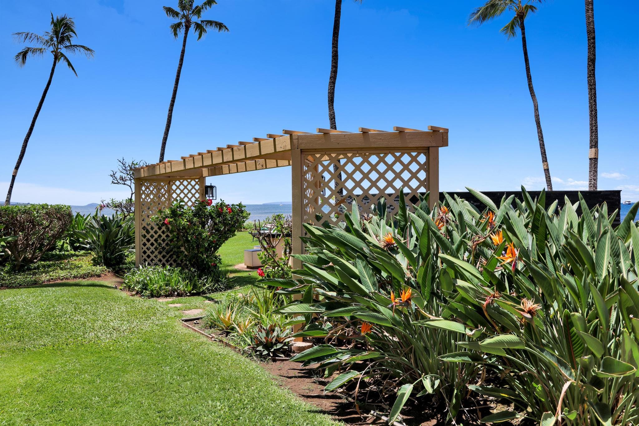 Sugar Beach Resort condo # 502, Kihei, Hawaii - photo 44 of 50