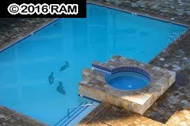 Sugar Beach Resort condo # #521, Kihei, Hawaii - photo 17 of 24