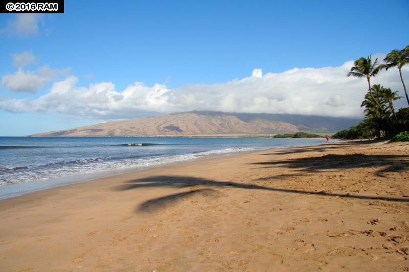 Sugar Beach Resort condo # #521, Kihei, Hawaii - photo 18 of 24