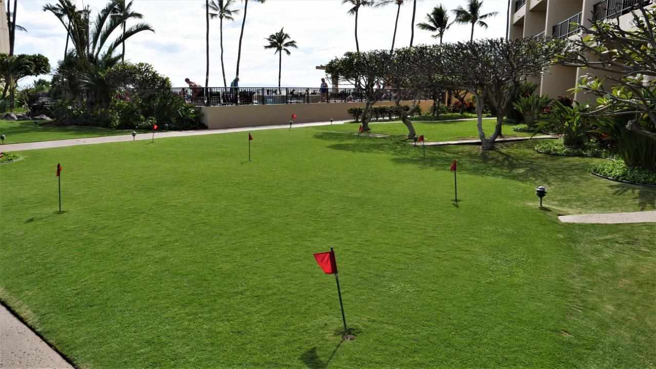 Sugar Beach Resort condo # 531, Kihei, Hawaii - photo 29 of 30