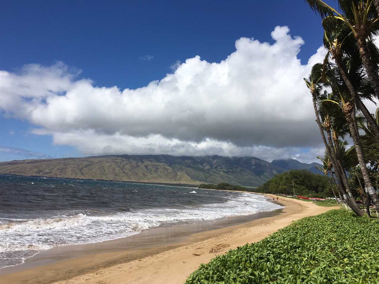 Sugar Beach Resort condo # 535, Kihei, Hawaii - photo 2 of 29
