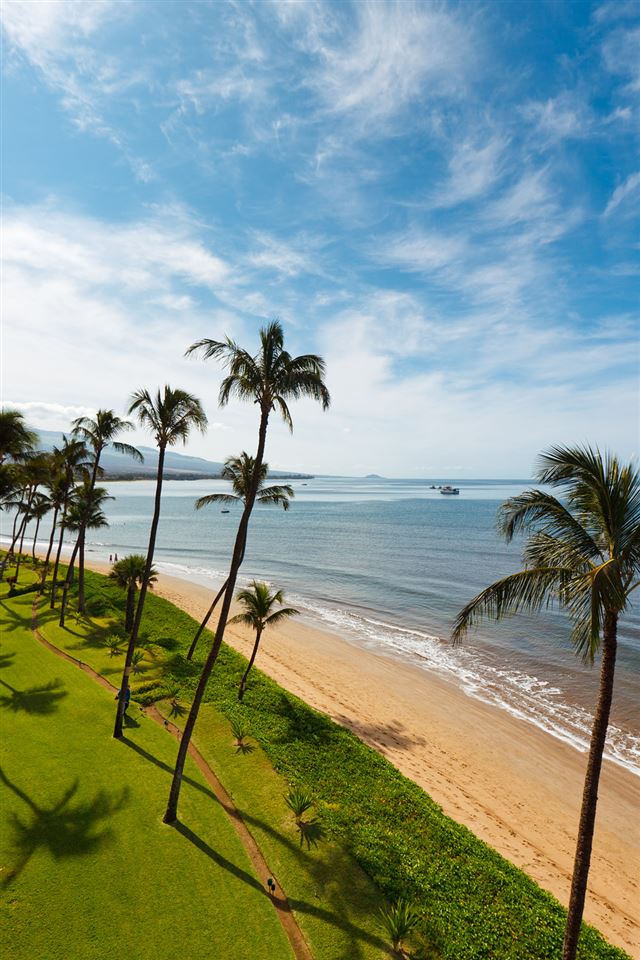 Sugar Beach Resort condo # 535, Kihei, Hawaii - photo 4 of 29