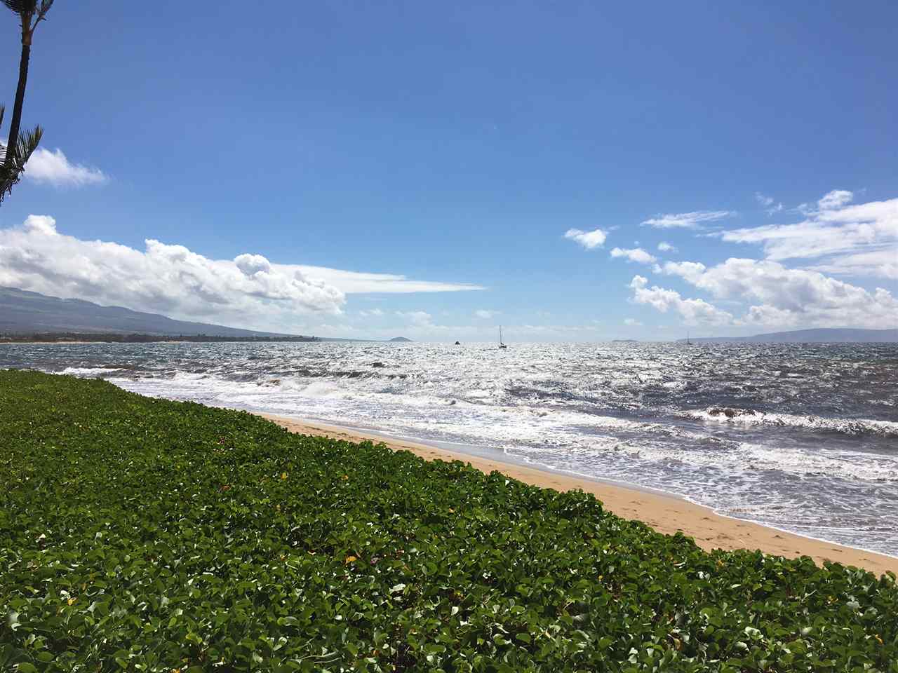 Sugar Beach Resort condo # 535, Kihei, Hawaii - photo 6 of 29