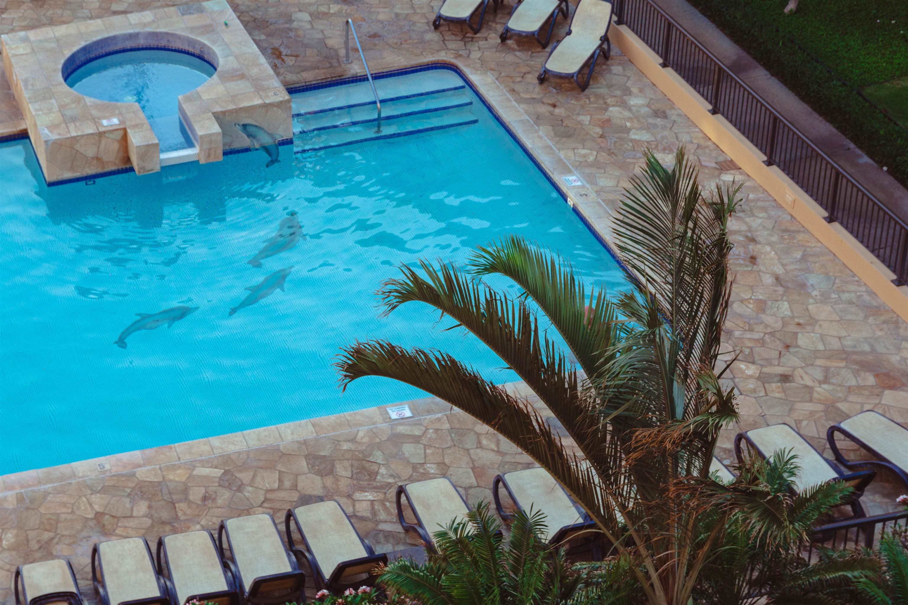 Sugar Beach Resort condo # PH06, Kihei, Hawaii - photo 44 of 45