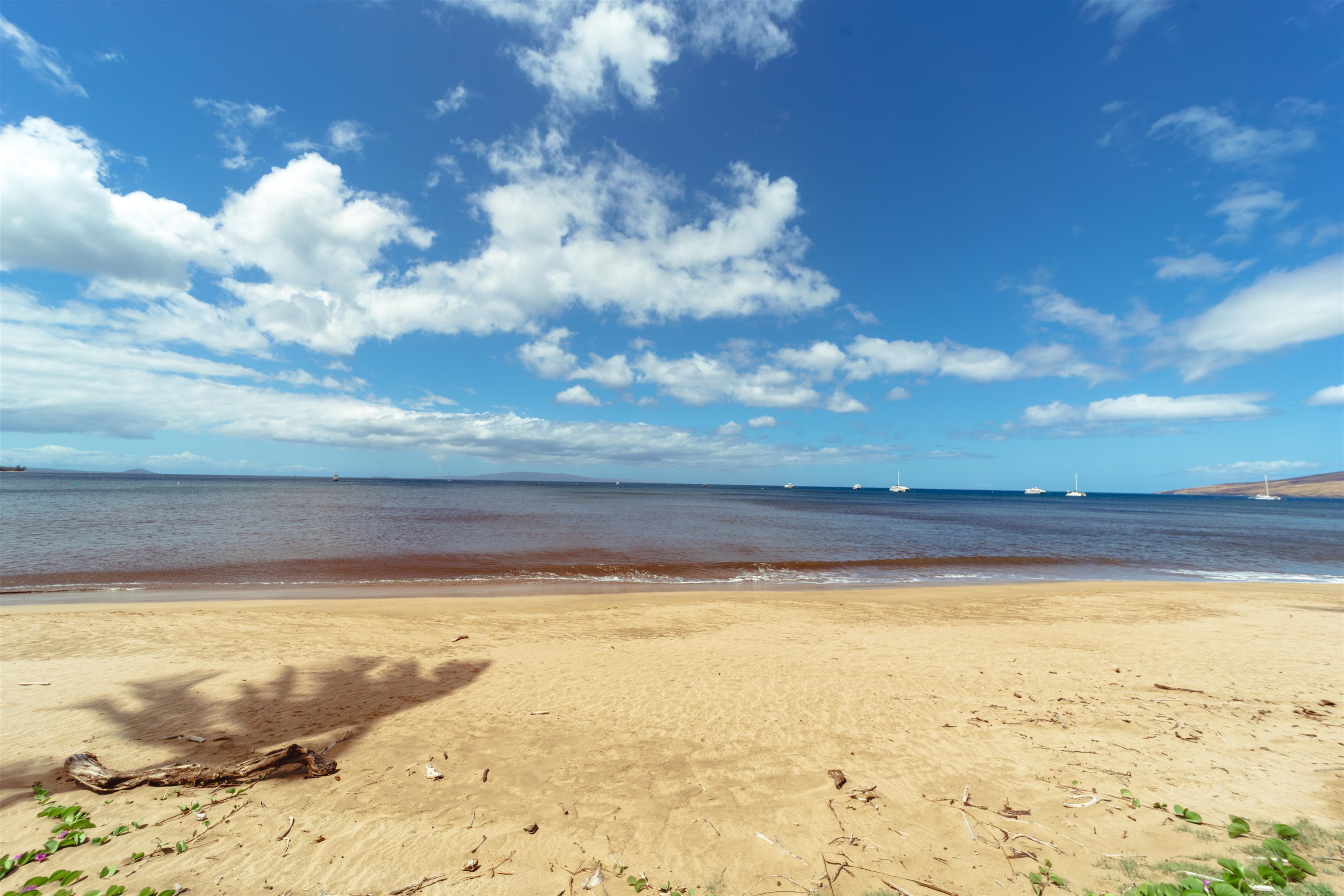 Sugar Beach Resort condo # PH06, Kihei, Hawaii - photo 6 of 45