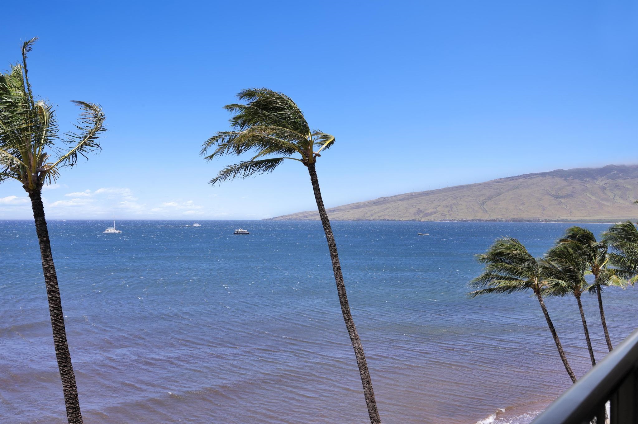 Sugar Beach Resort condo # PH23, Kihei, Hawaii - photo 7 of 50