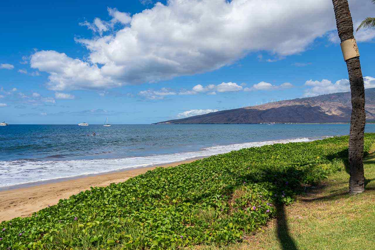 Sugar Beach Resort condo # PH25, Kihei, Hawaii - photo 4 of 30
