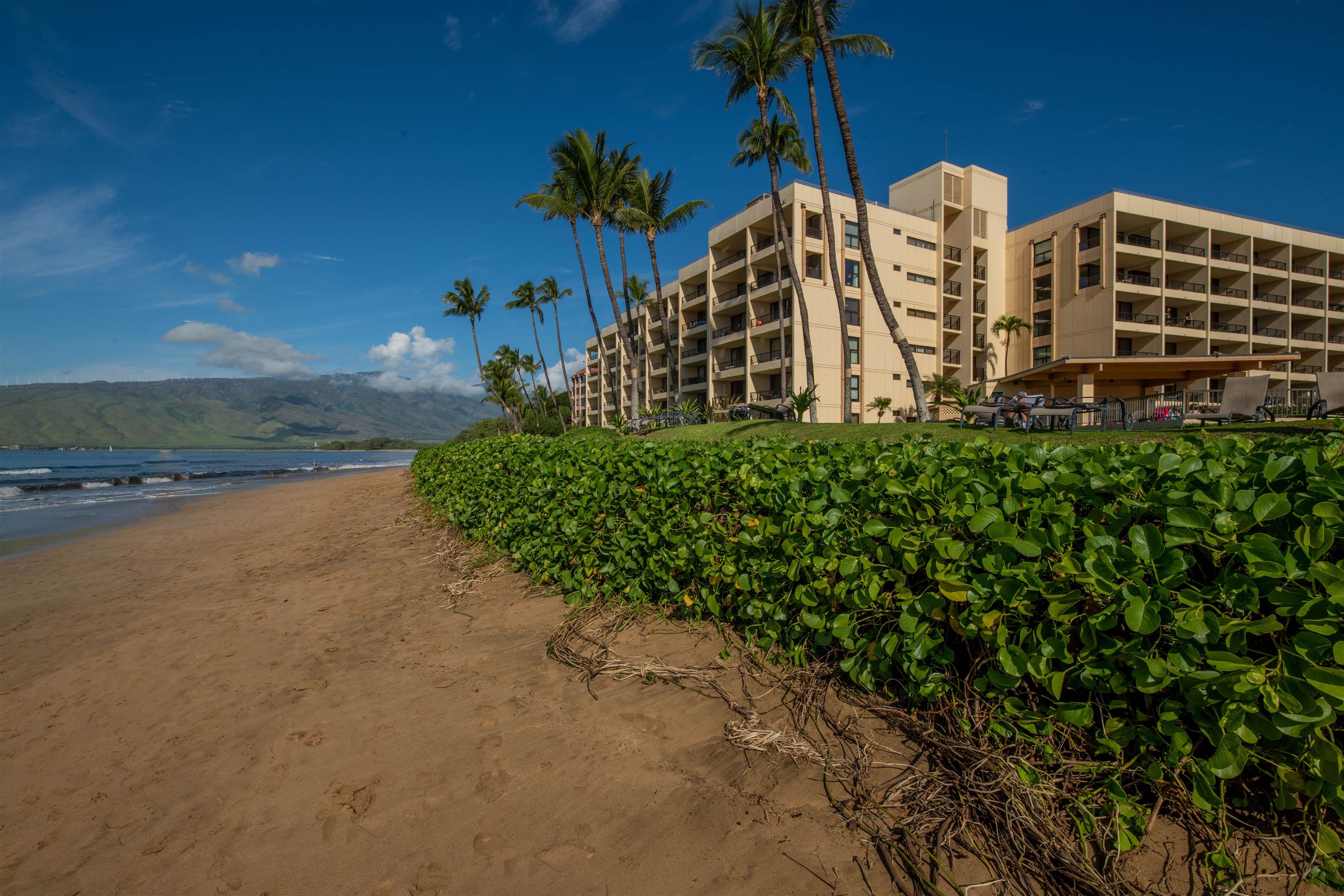 Sugar Beach Resort condo # PH27, Kihei, Hawaii - photo 23 of 26