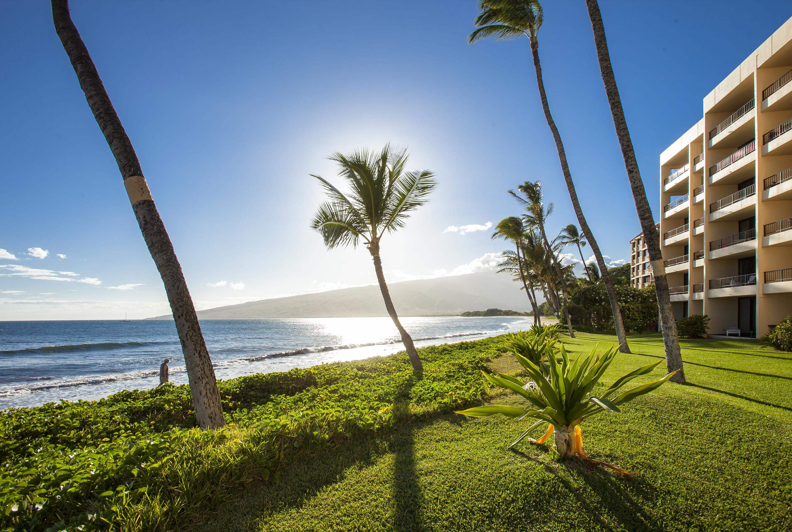 Sugar Beach Resort condo # PH31, Kihei, Hawaii - photo 24 of 26