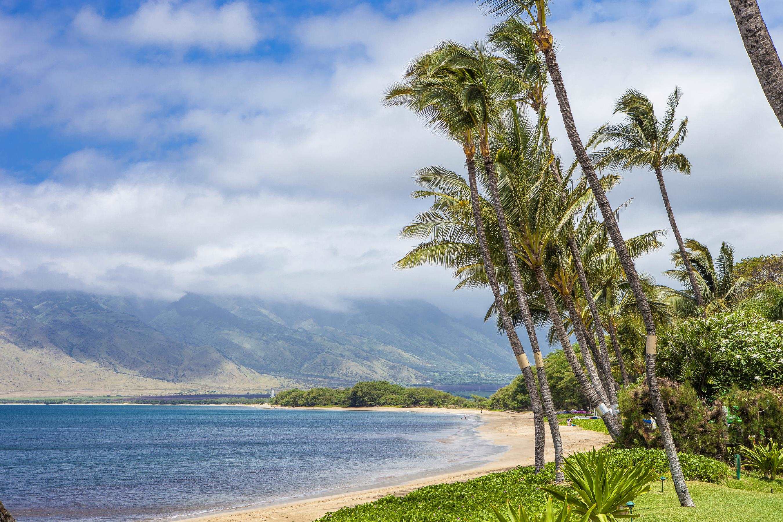 Sugar Beach Resort condo # PH31, Kihei, Hawaii - photo 25 of 26