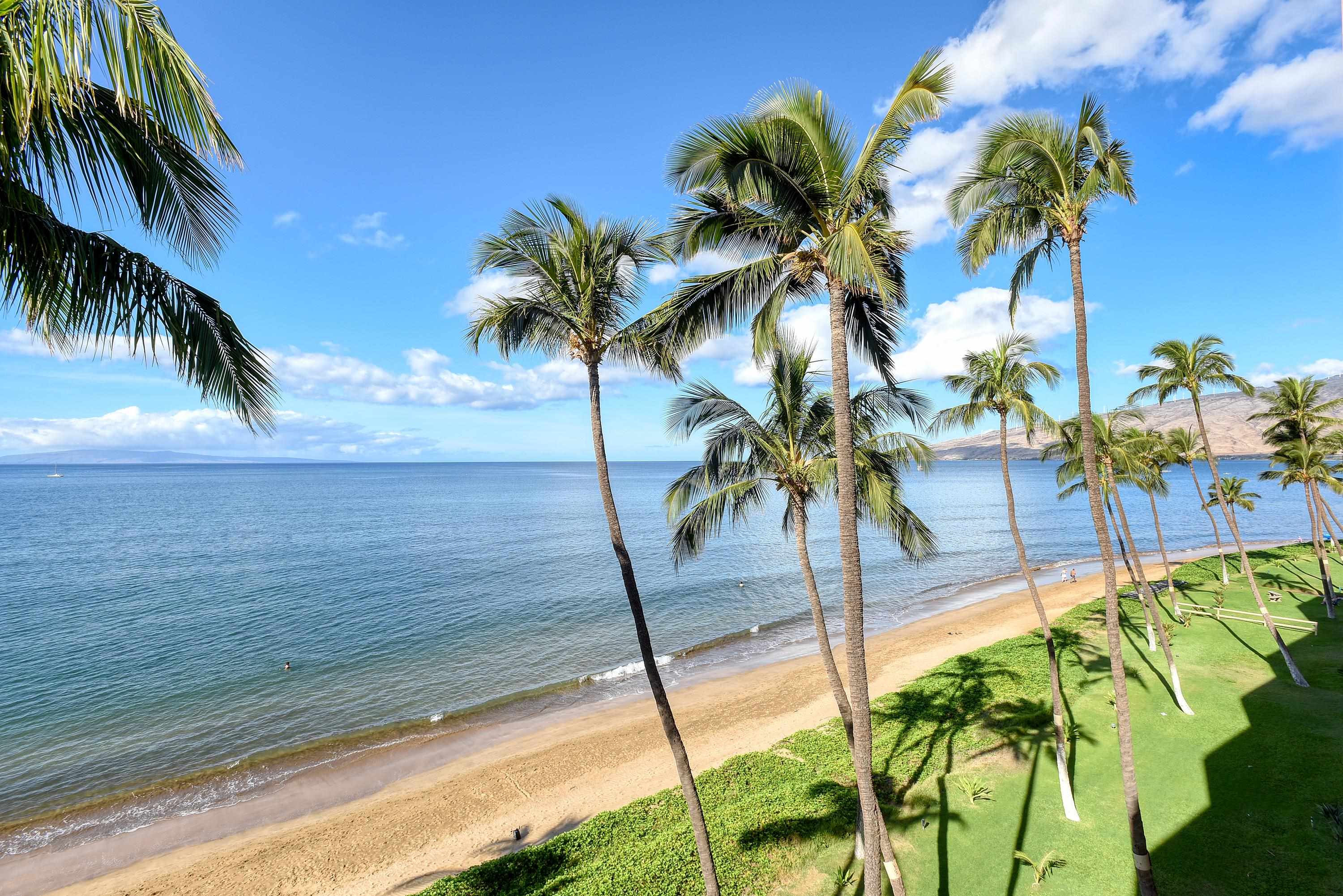 Sugar Beach Resort condo # PH4, Kihei, Hawaii - photo 2 of 30