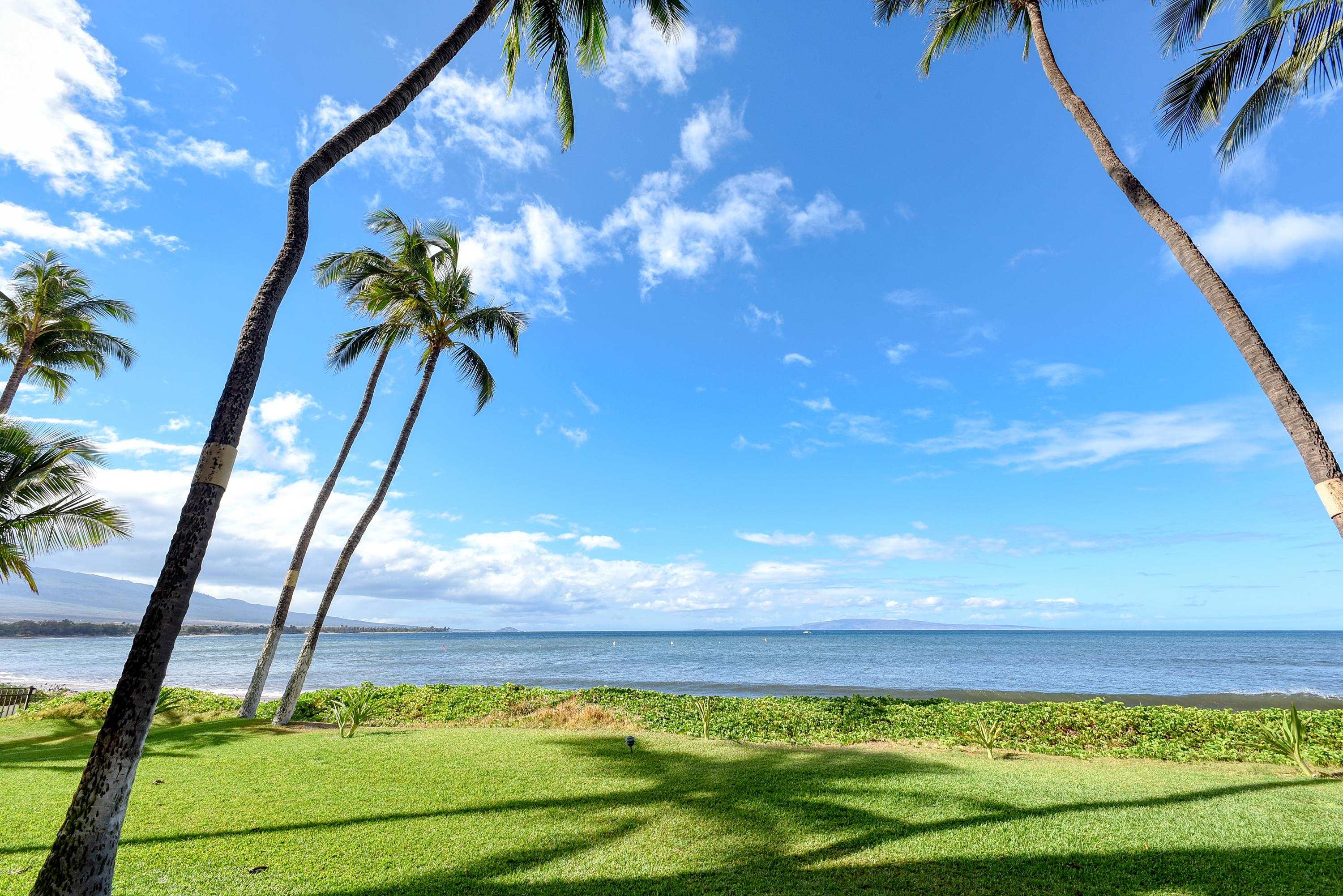 Sugar Beach Resort condo # PH4, Kihei, Hawaii - photo 24 of 30