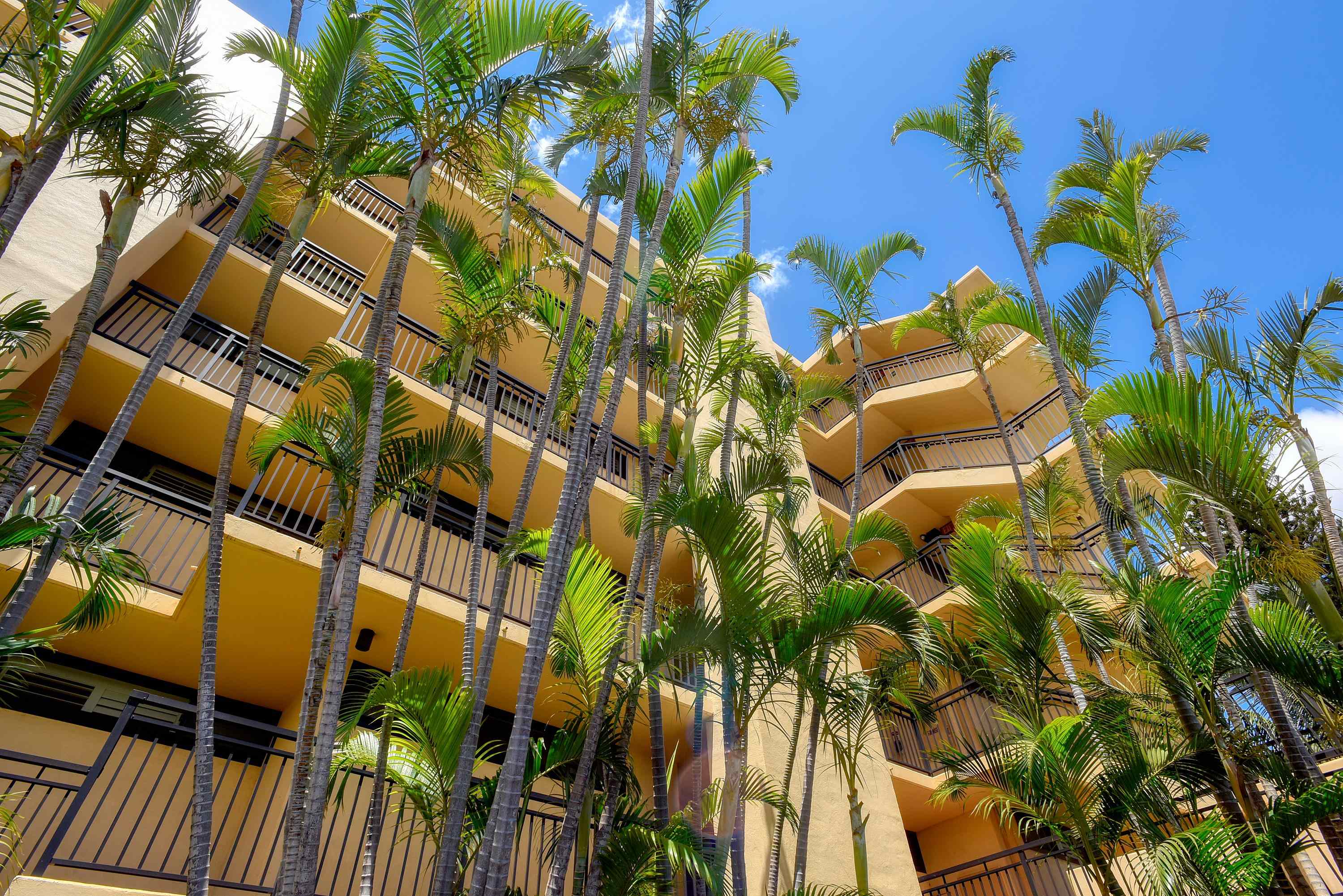 Sugar Beach Resort condo # PH4, Kihei, Hawaii - photo 30 of 30