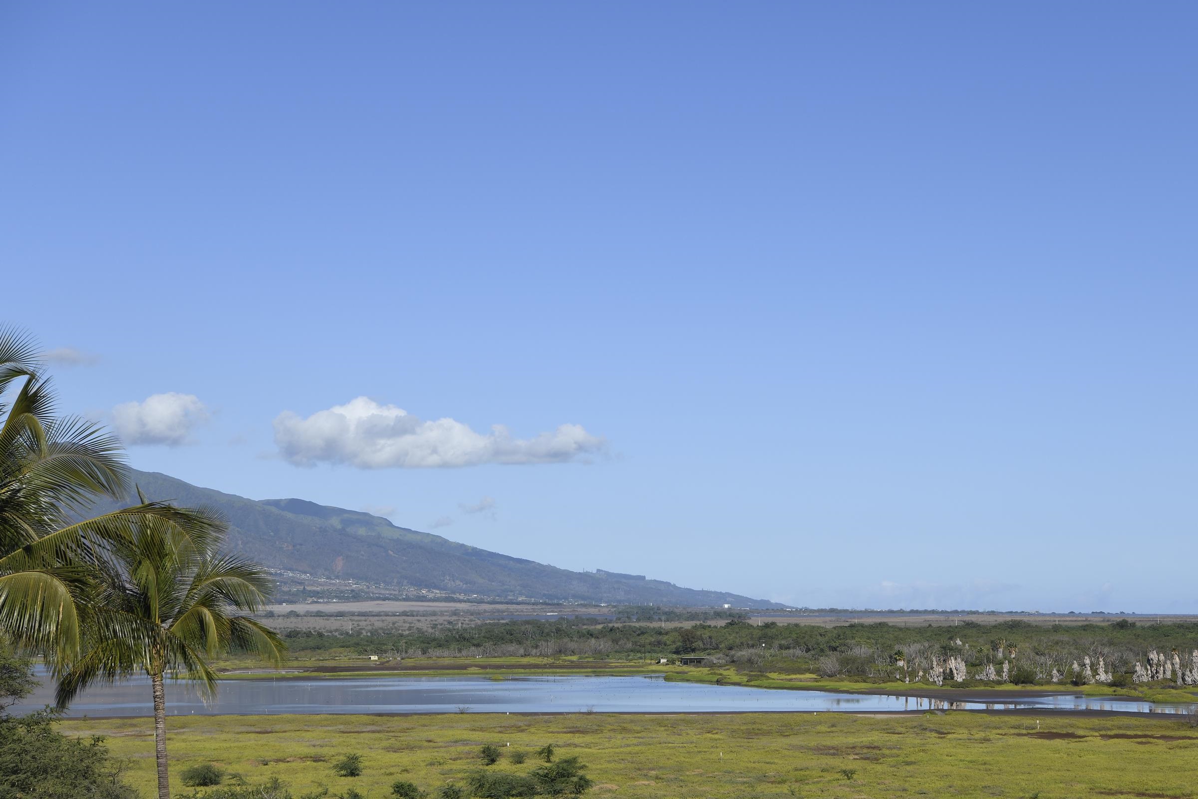 Sugar Beach Resort condo # PH4, Kihei, Hawaii - photo 8 of 30