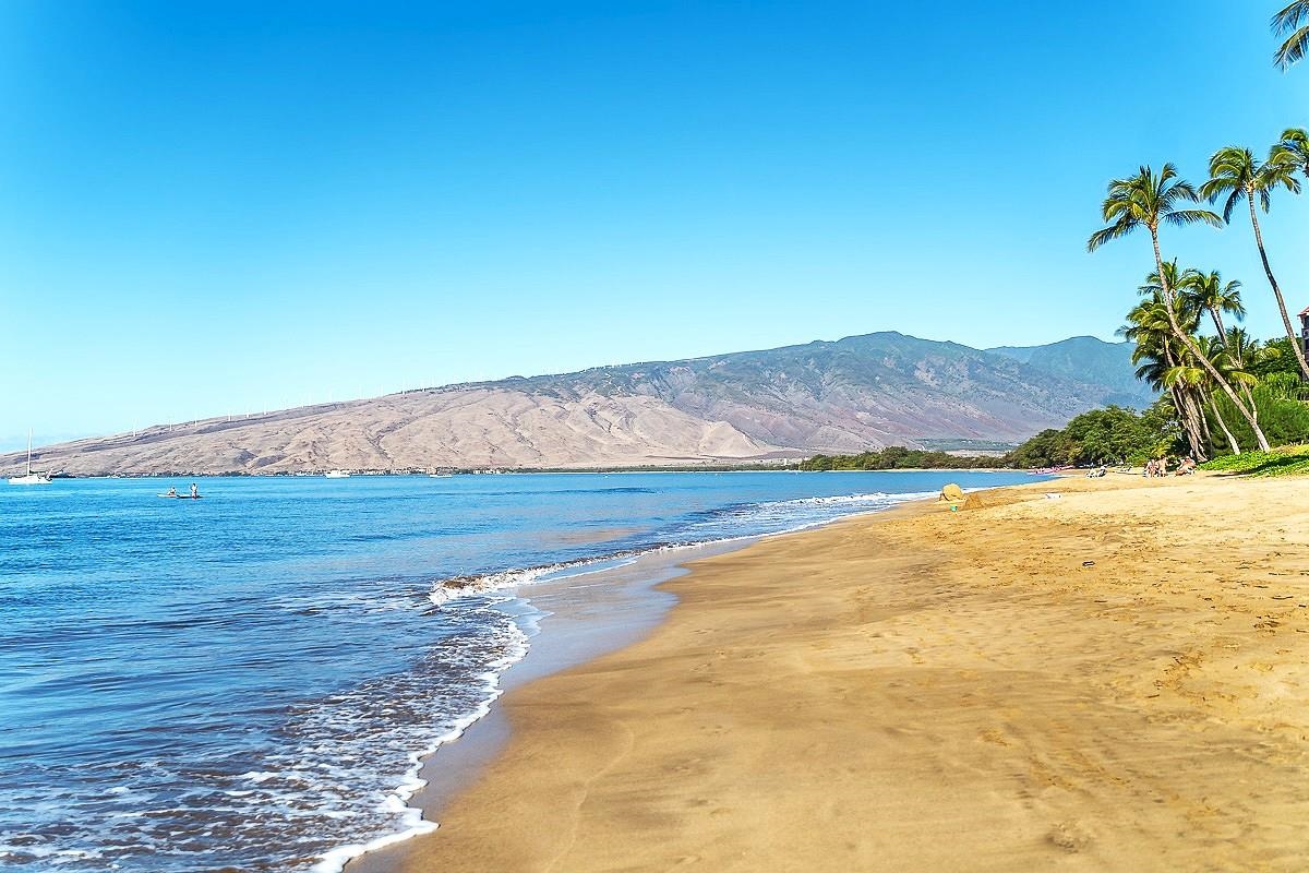 Sugar Beach Resort condo # PH8, Kihei, Hawaii - photo 33 of 34