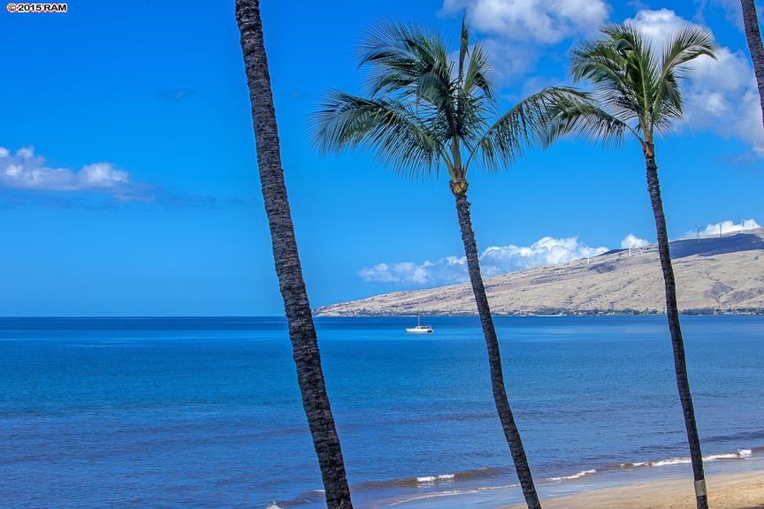 Sugar Beach Resort condo # 240, Kihei, Hawaii - photo 20 of 30