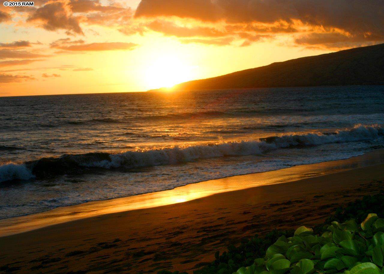 Sugar Beach Resort condo # 240, Kihei, Hawaii - photo 3 of 30