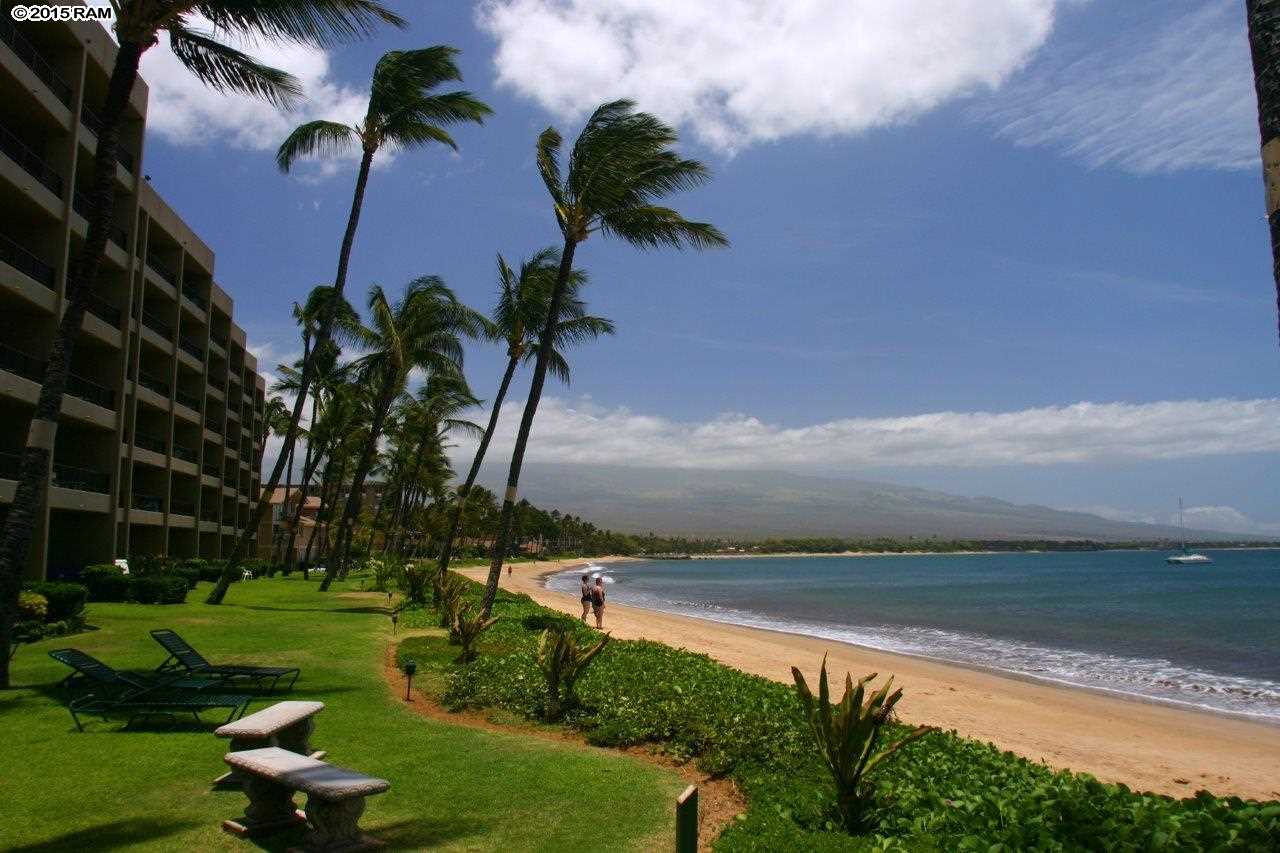 Sugar Beach Resort condo # 240, Kihei, Hawaii - photo 27 of 30