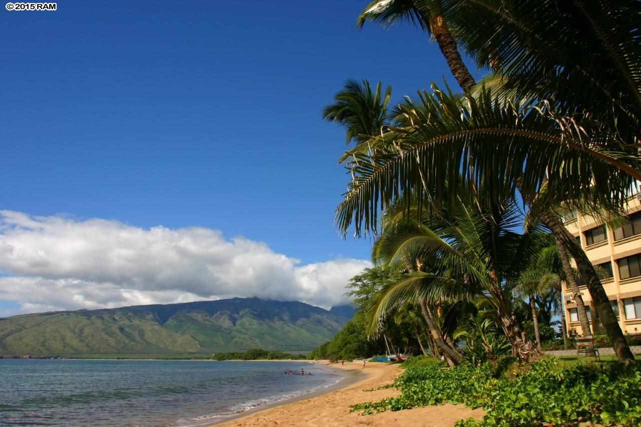Sugar Beach Resort condo # 240, Kihei, Hawaii - photo 28 of 30