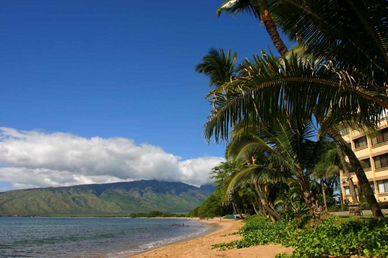 Sugar Beach Resort condo # 302, Kihei, Hawaii - photo 28 of 30