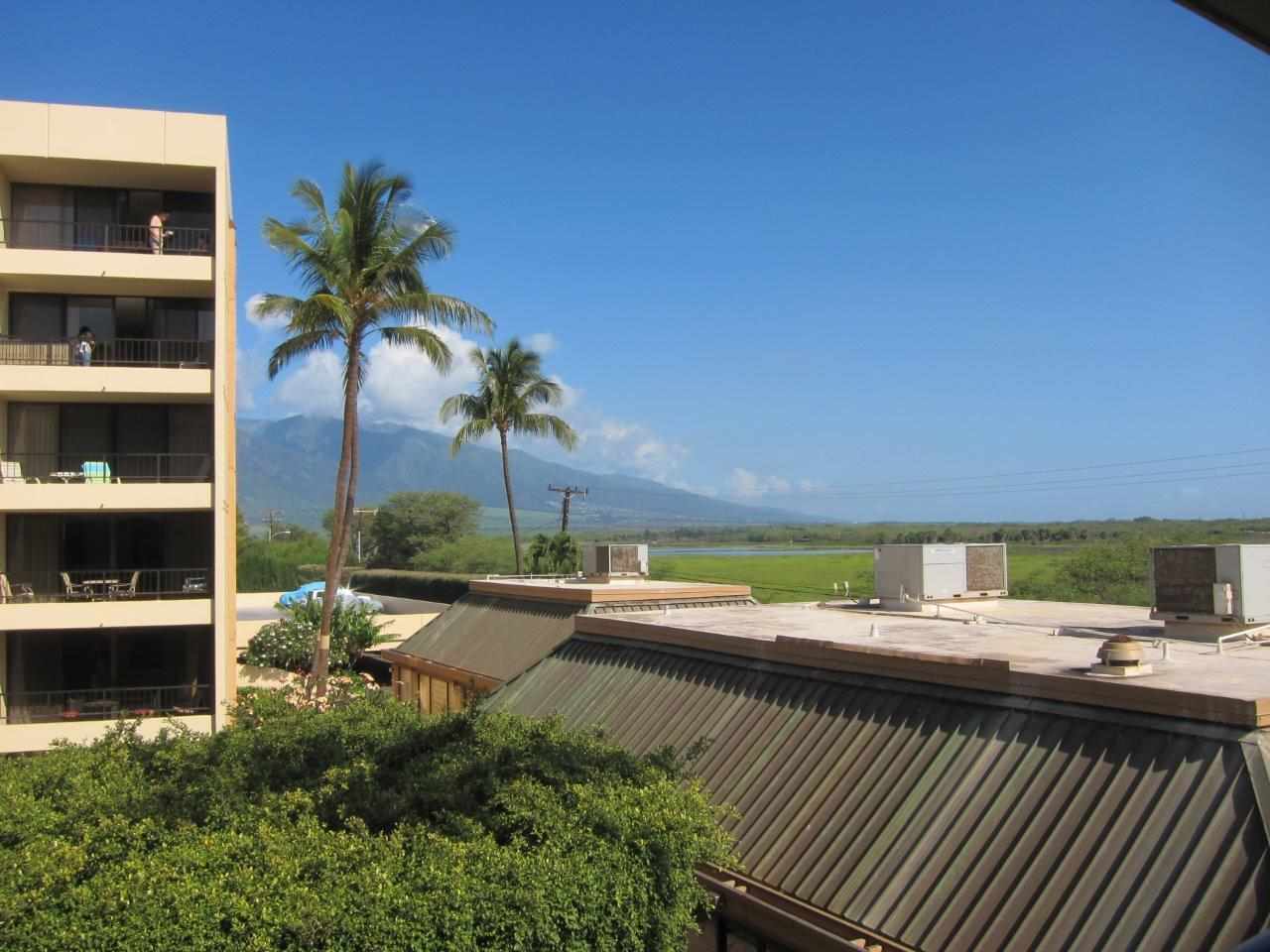 Sugar Beach Resort condo # 302, Kihei, Hawaii - photo 5 of 30